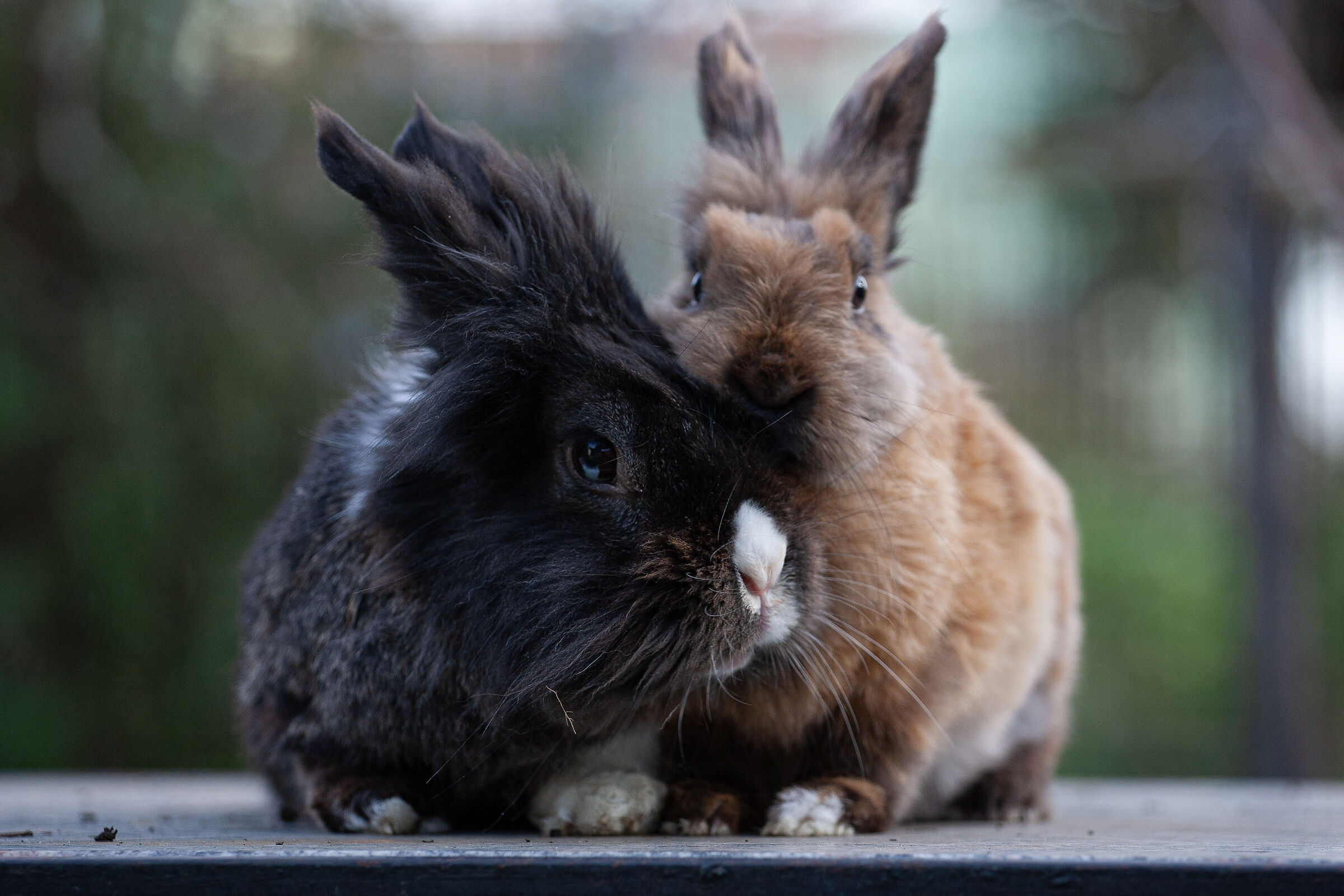 Models for an afternoon