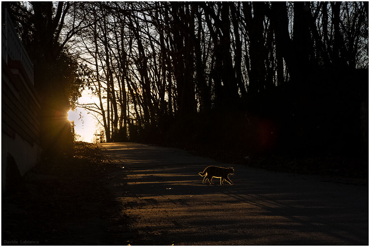 Quando la luce è tutto..