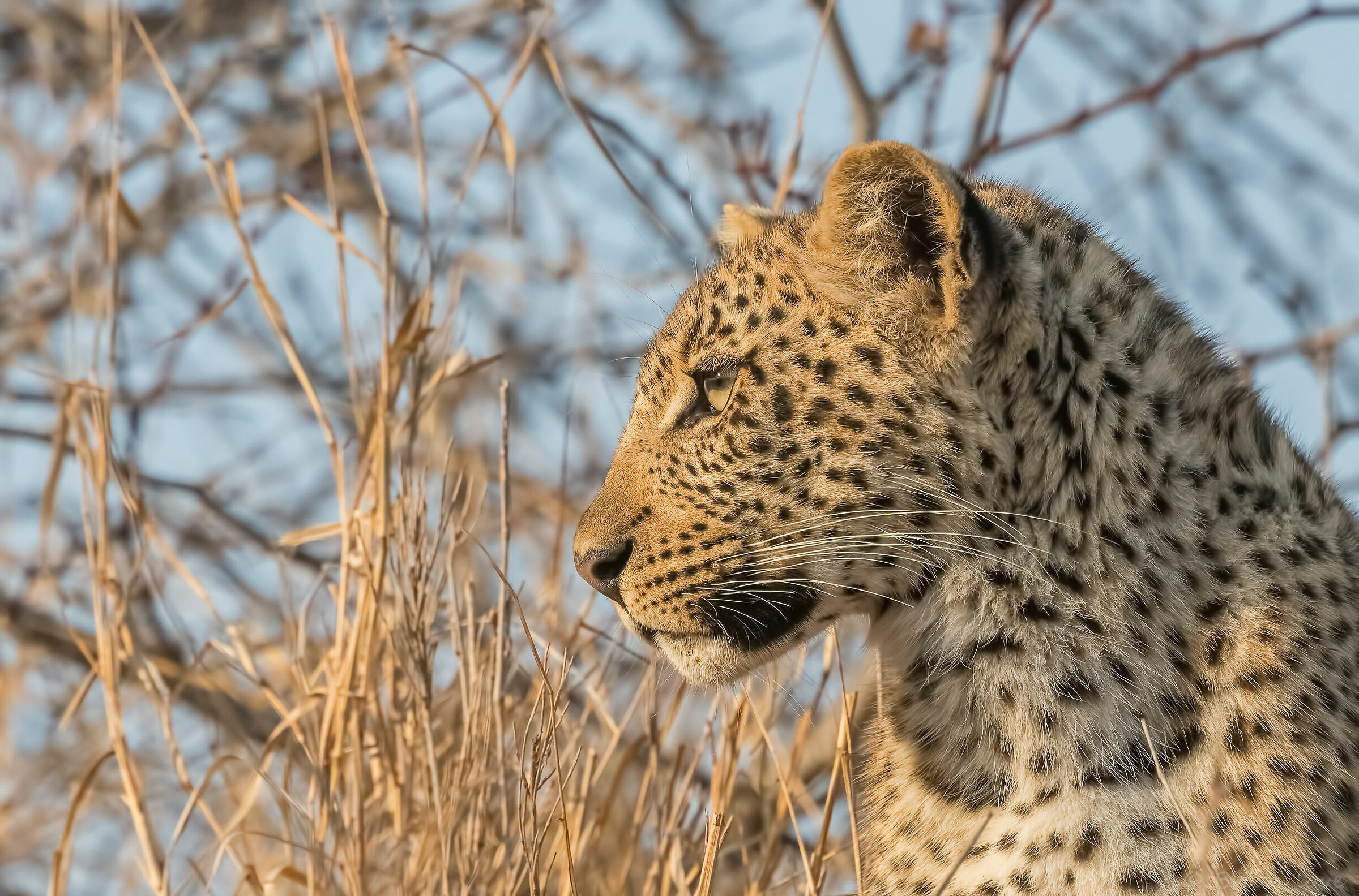 Ndzutini la piccola principessa