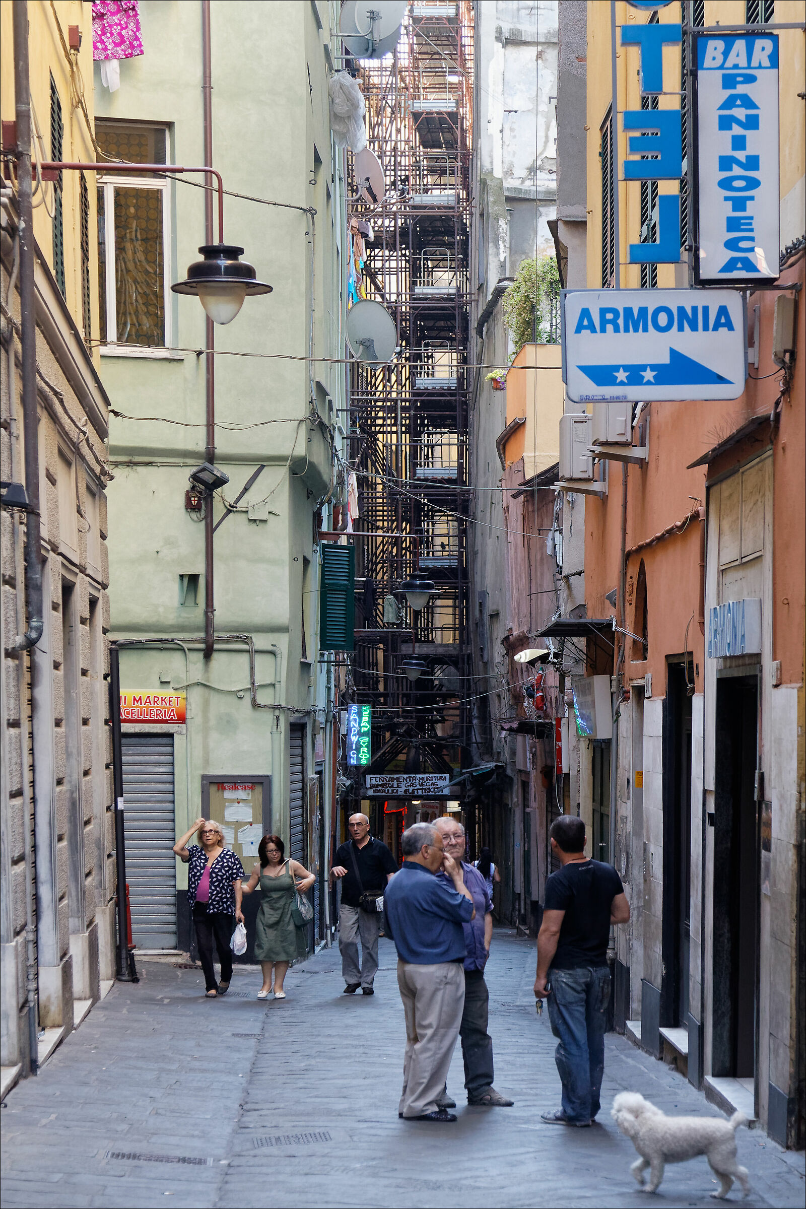 Armonia, Via di Prè