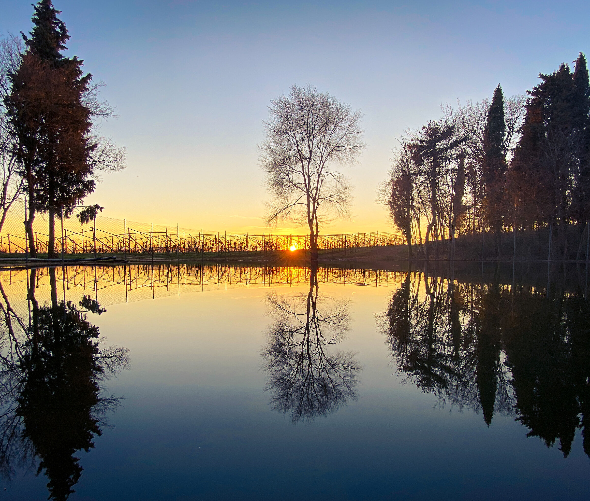 Untitled Photo