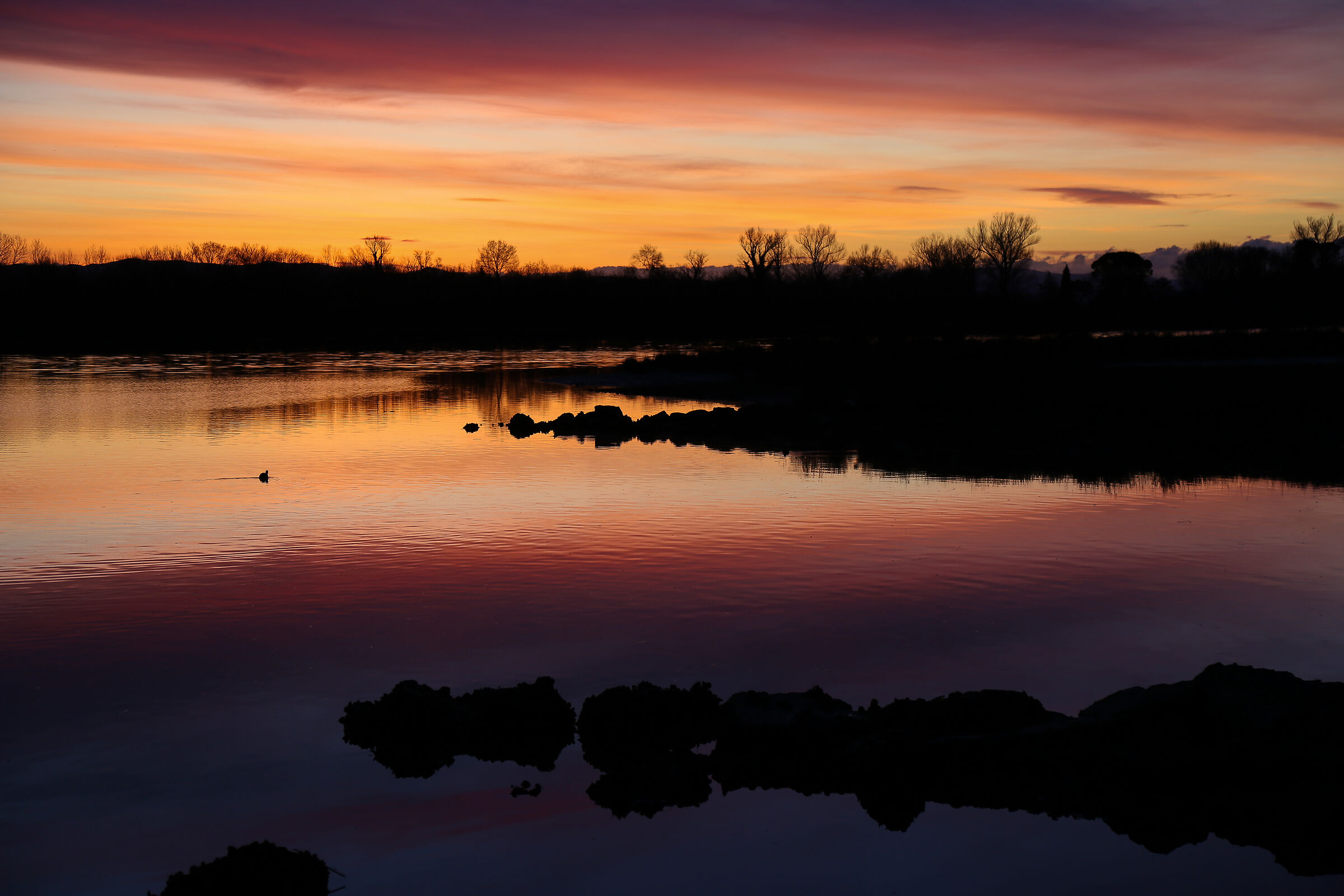 Alba all'Isola della Cona