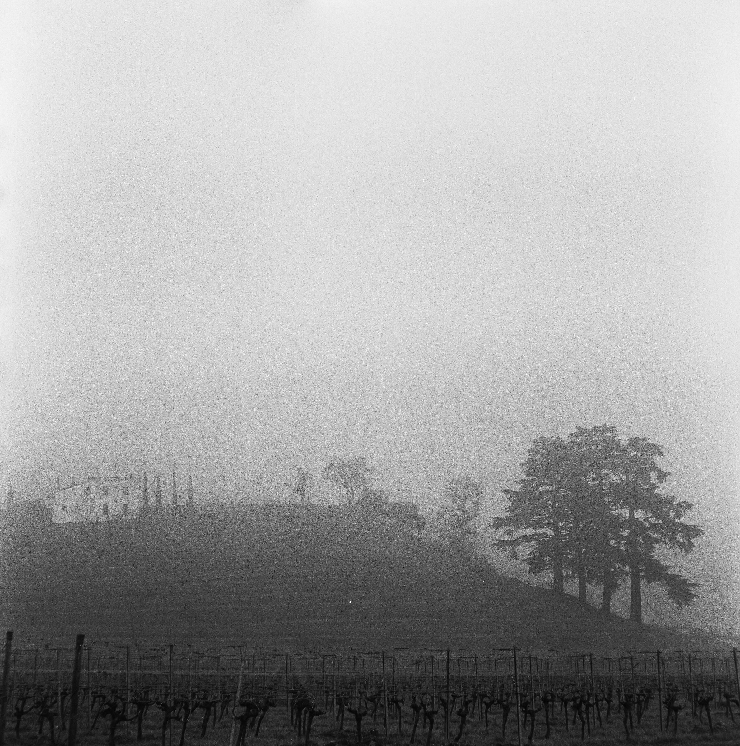 Valpolicella, tenuta Bertani