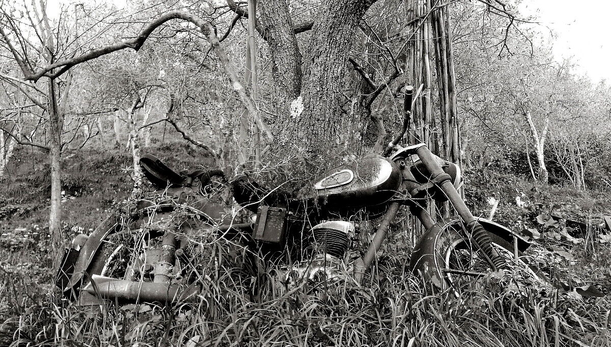 Basta km,ora campagna!