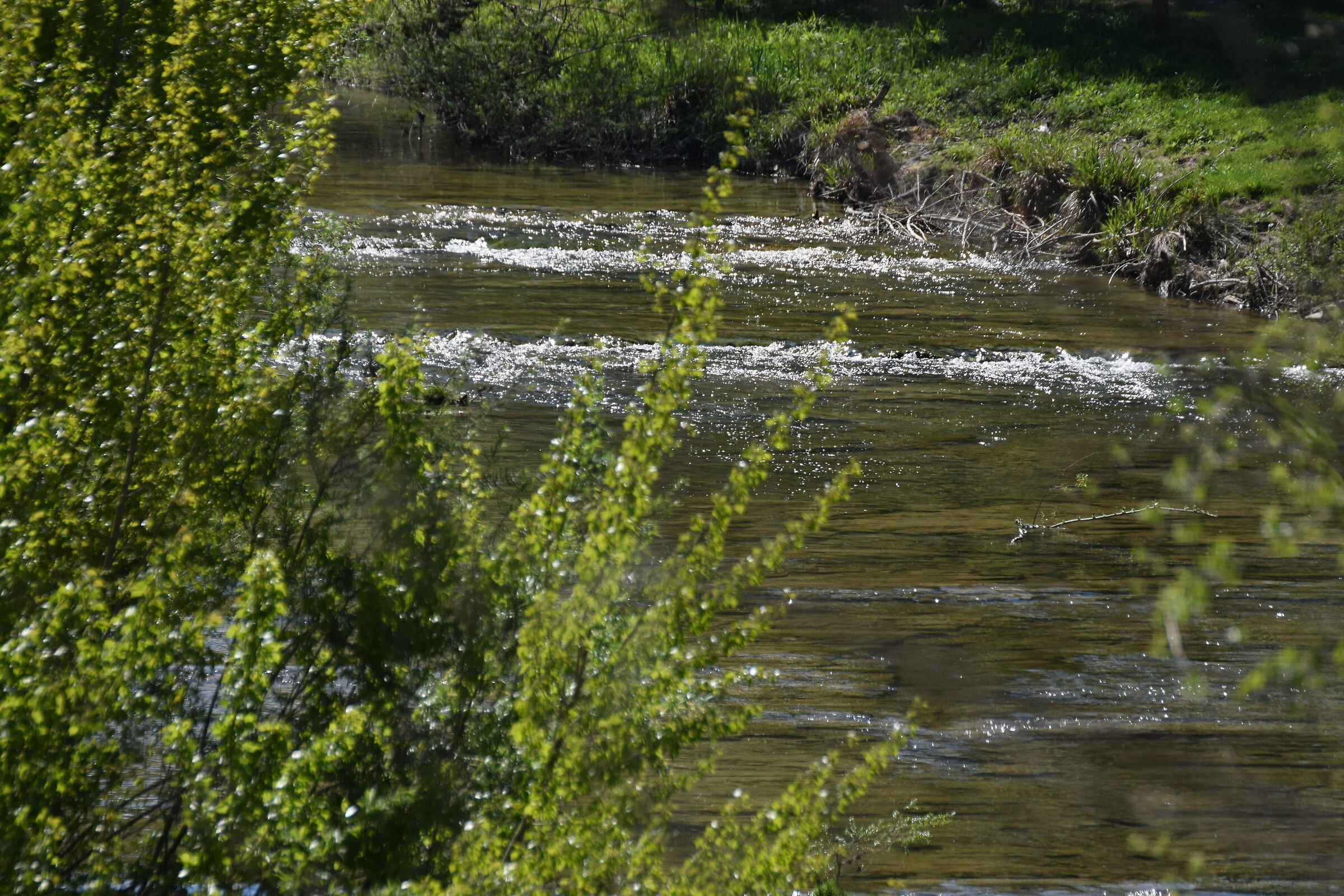 Metauro in a glimpse