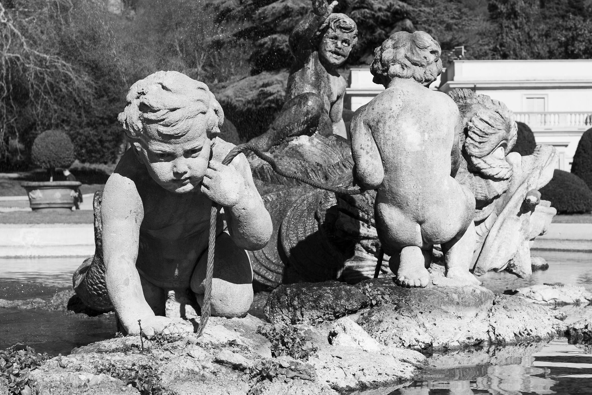 Fontana di Villa Olmo B&W
