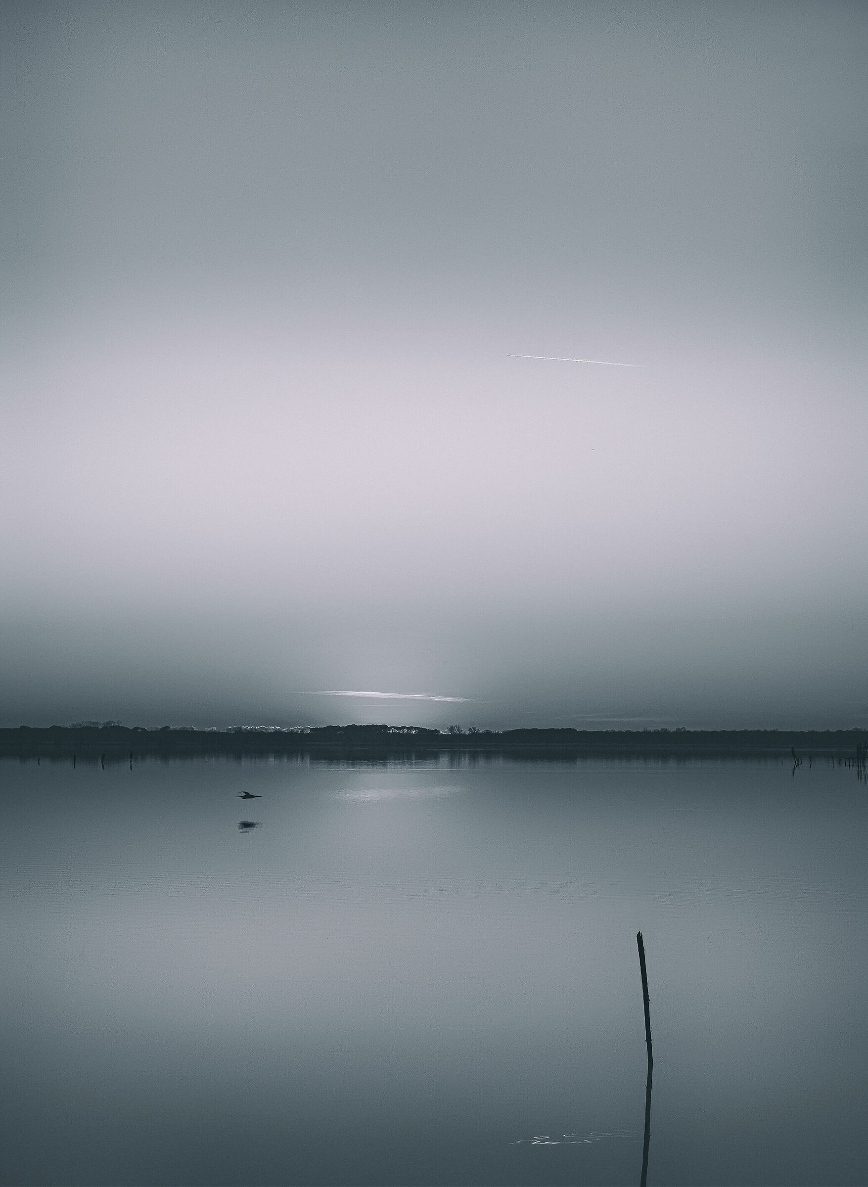 Dante: III. Paradise: La(r)angelic ghetto