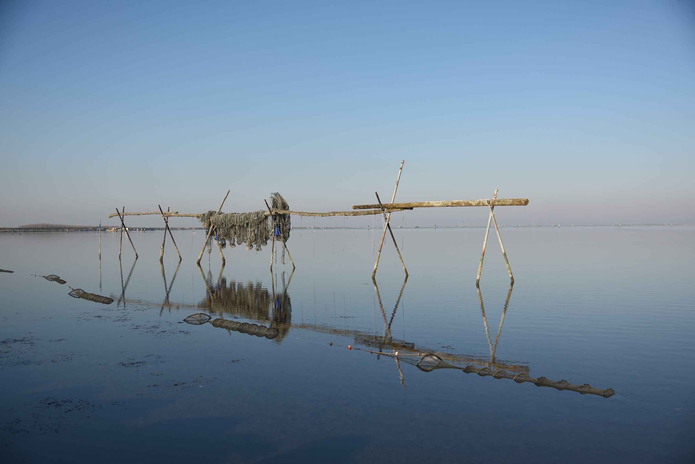 L'inverno nella Sacca