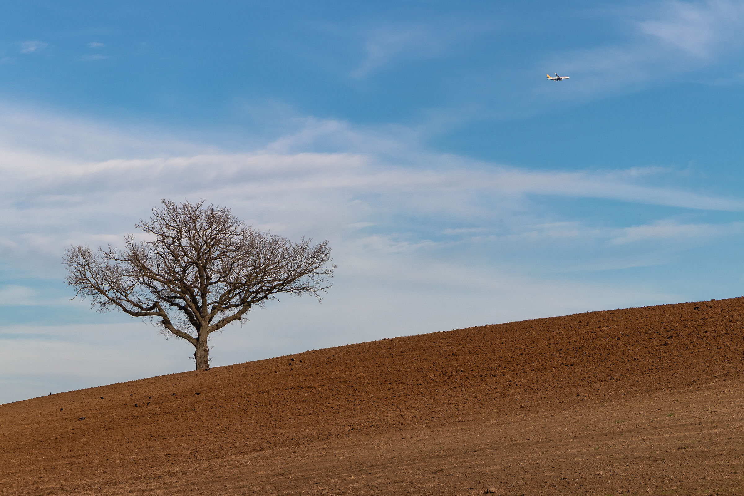Sulla scia di Fontana