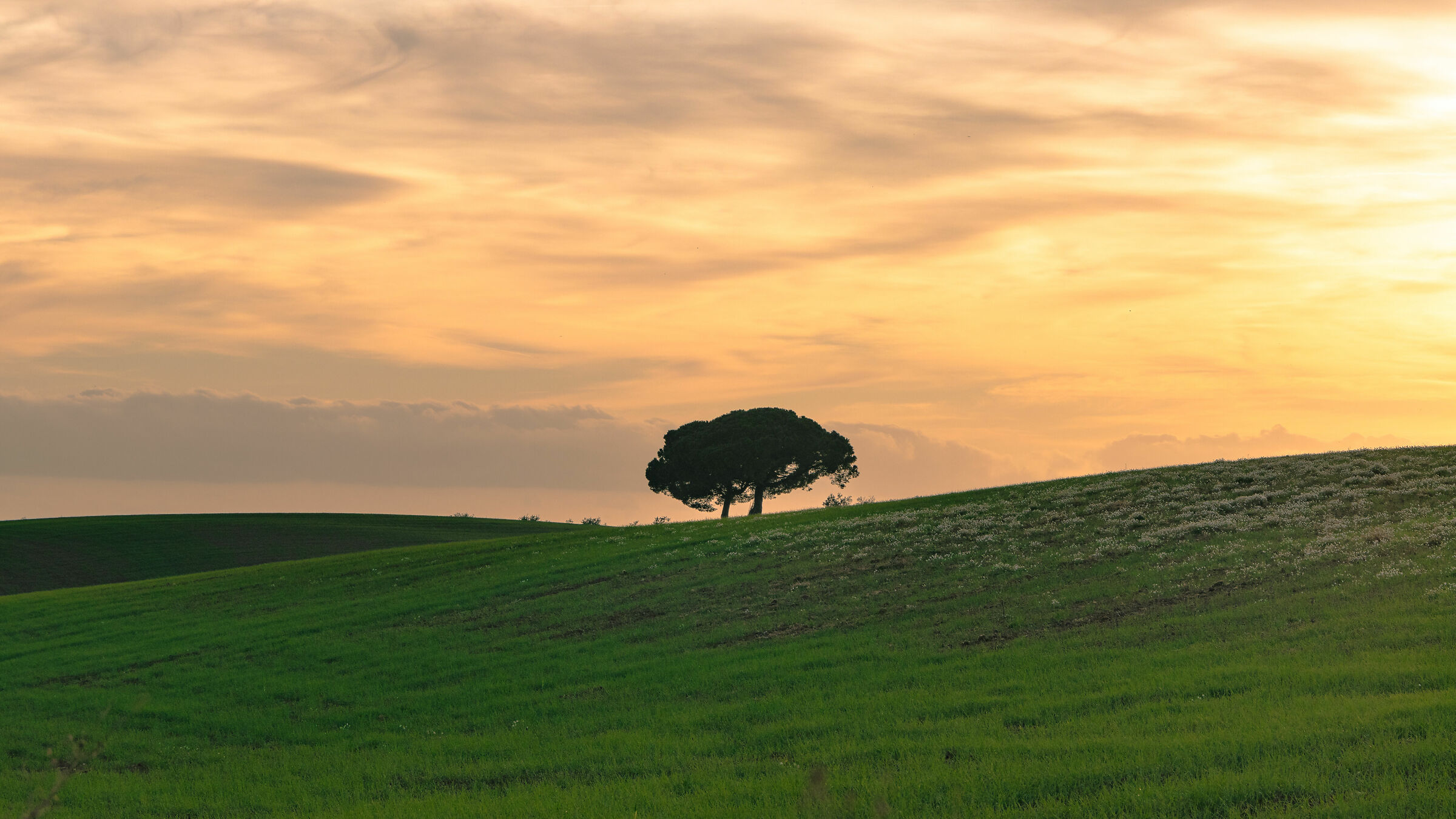 Tramonto in campagna