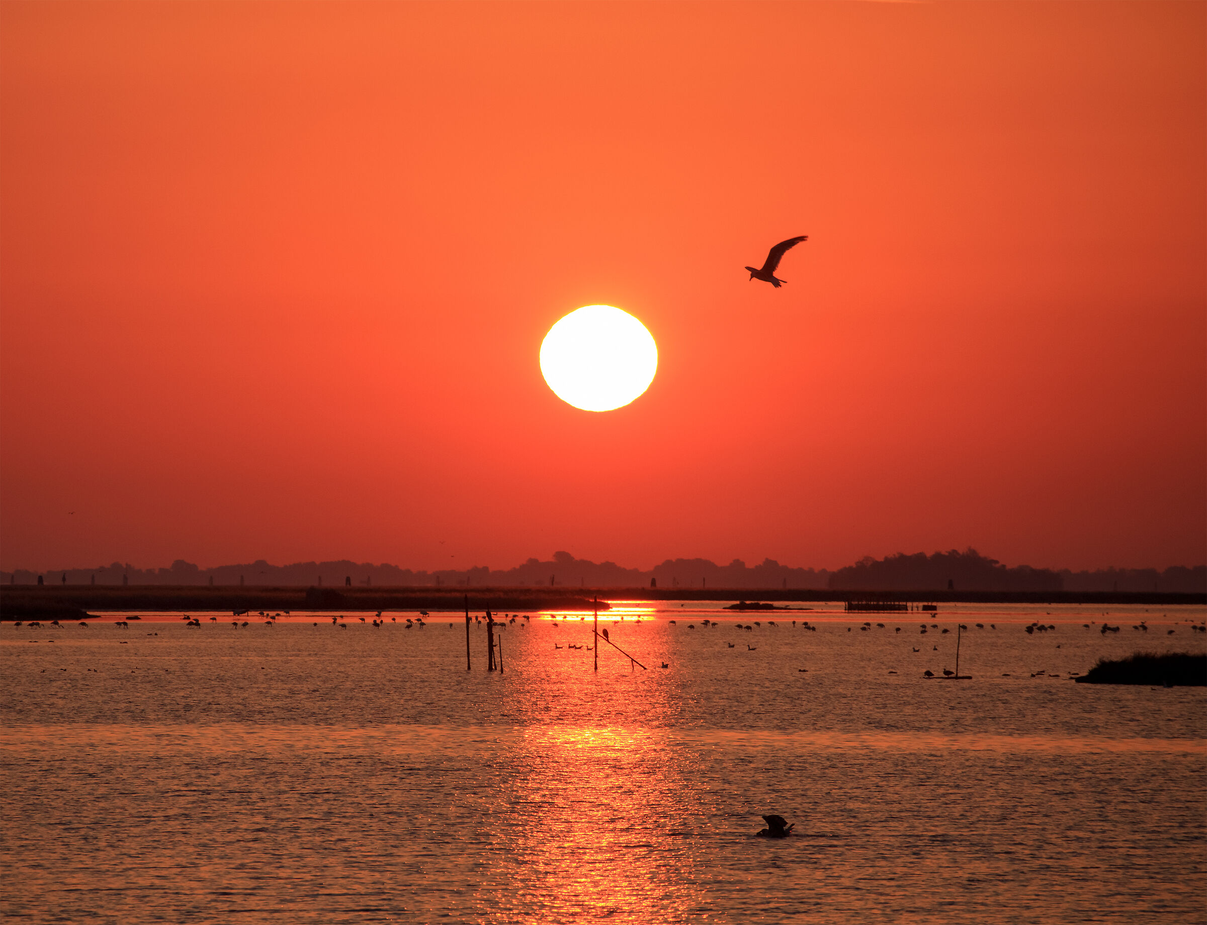 Alba al parco di S.Giuliano
