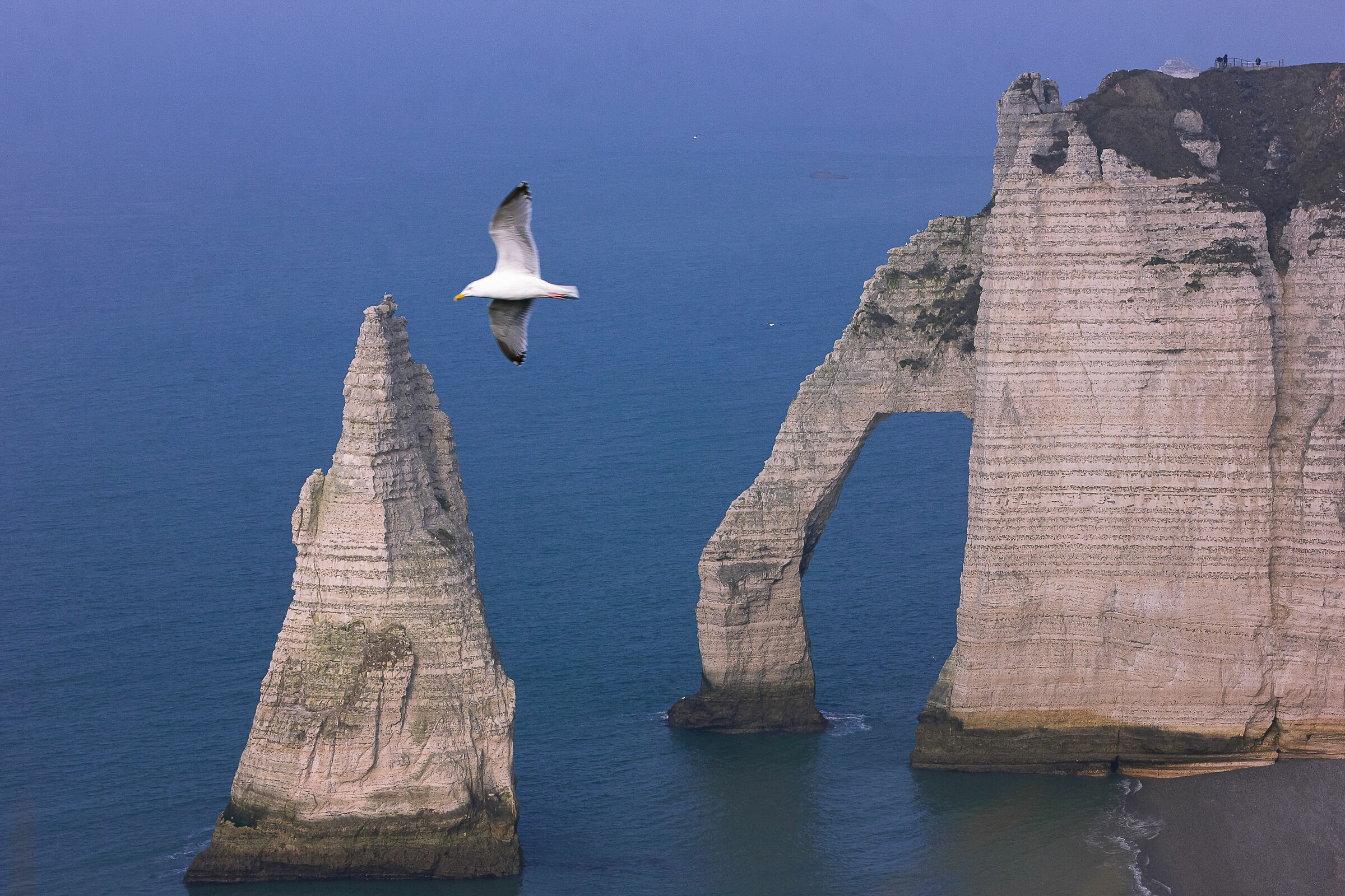 Francia.La Falesia Di Etretat(Normandia)