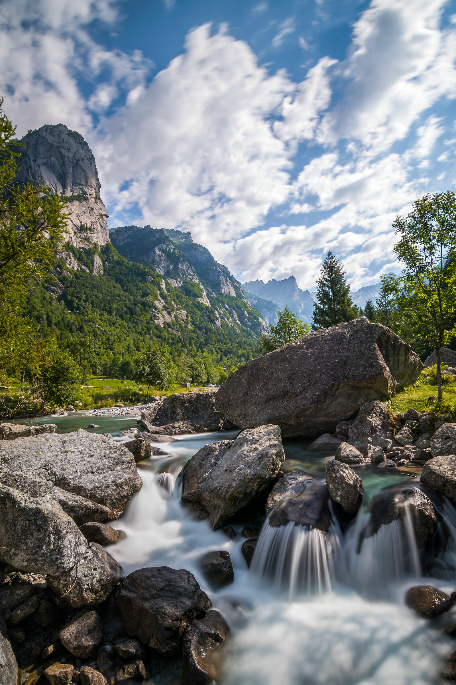 Running nature