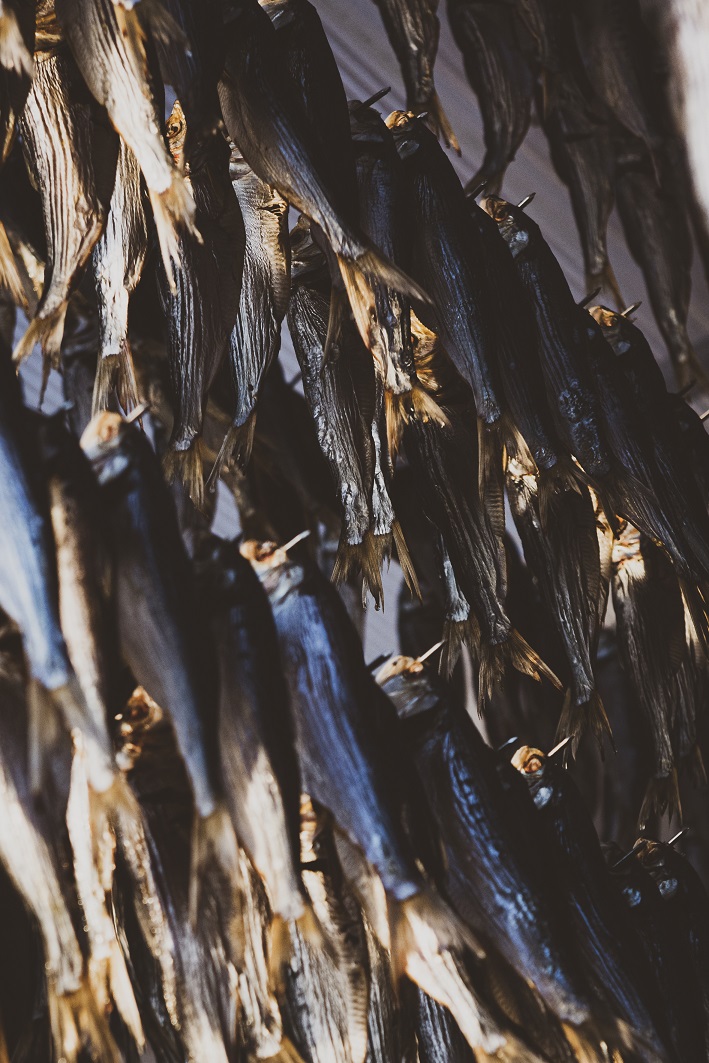 Le sardine quelle vere