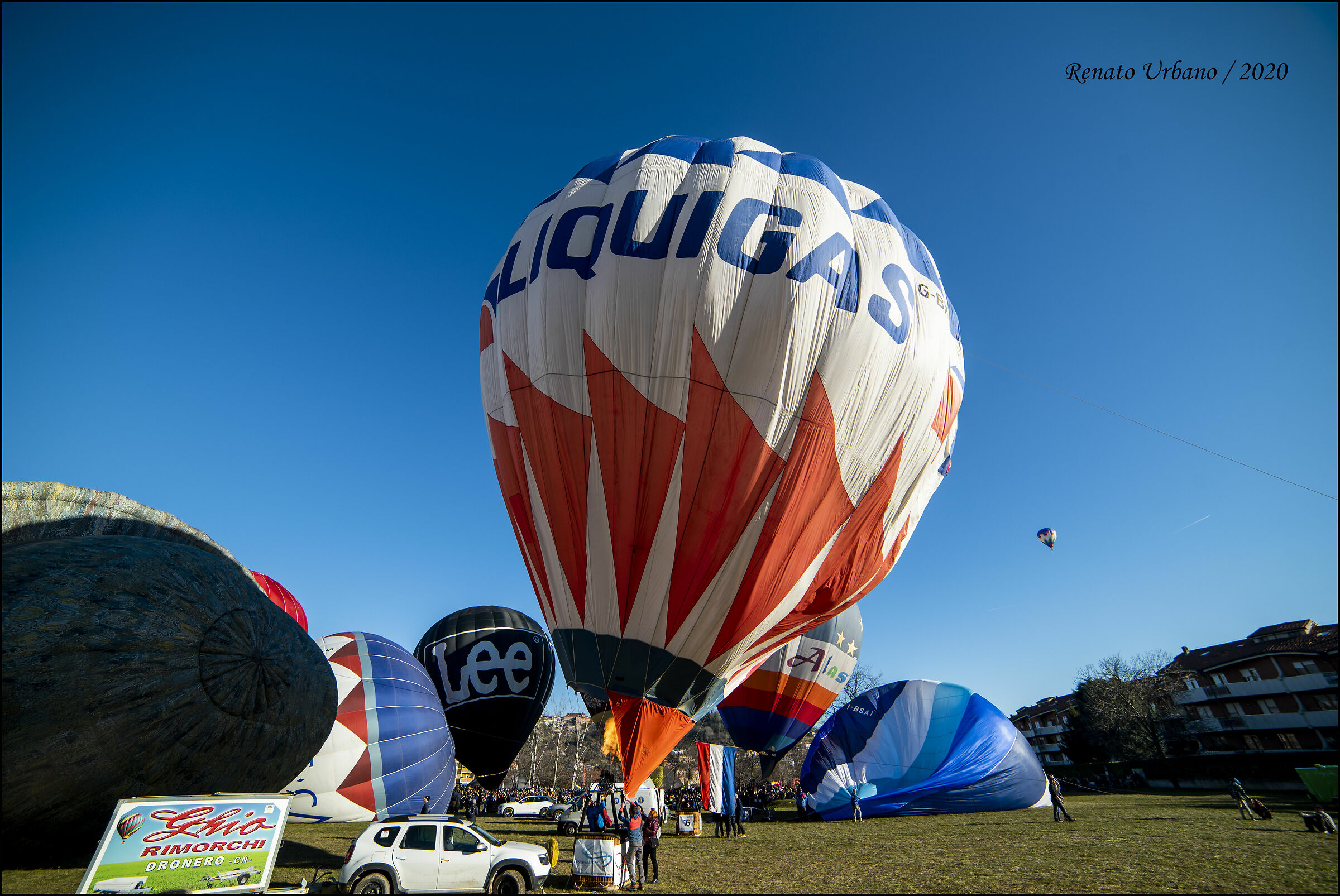 A day with his nose up (4)