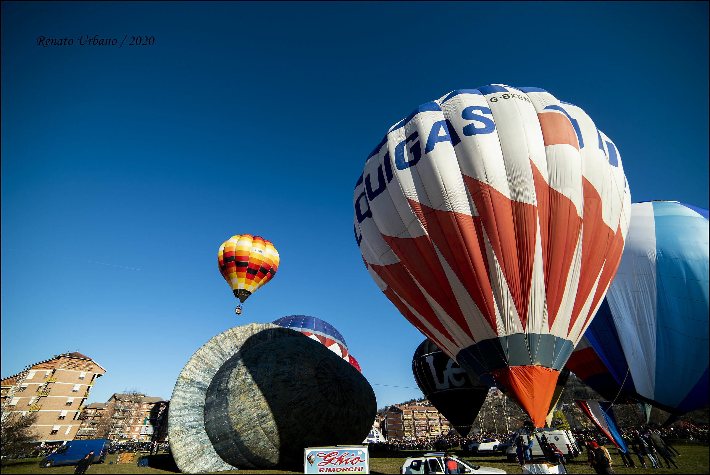 A day with his nose up (7)