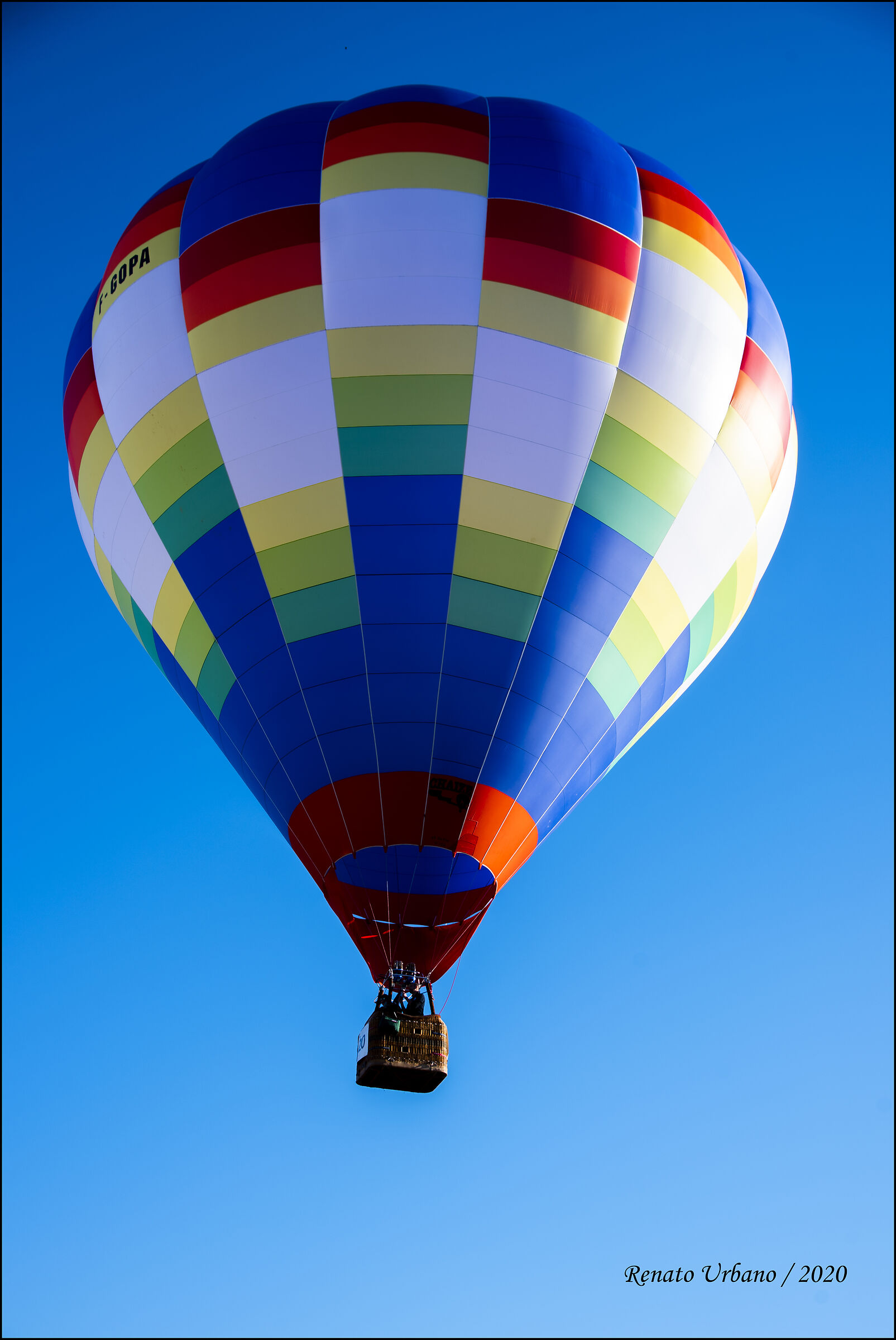 A day with his nose up (10)