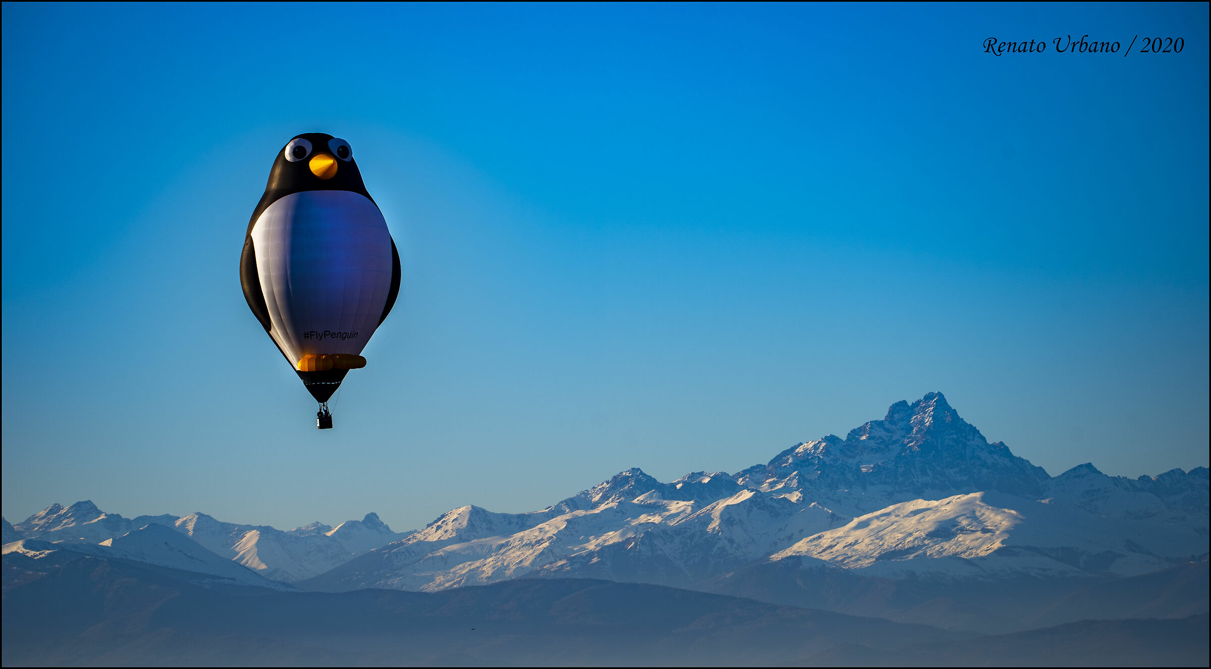 A day with his nose up (11)