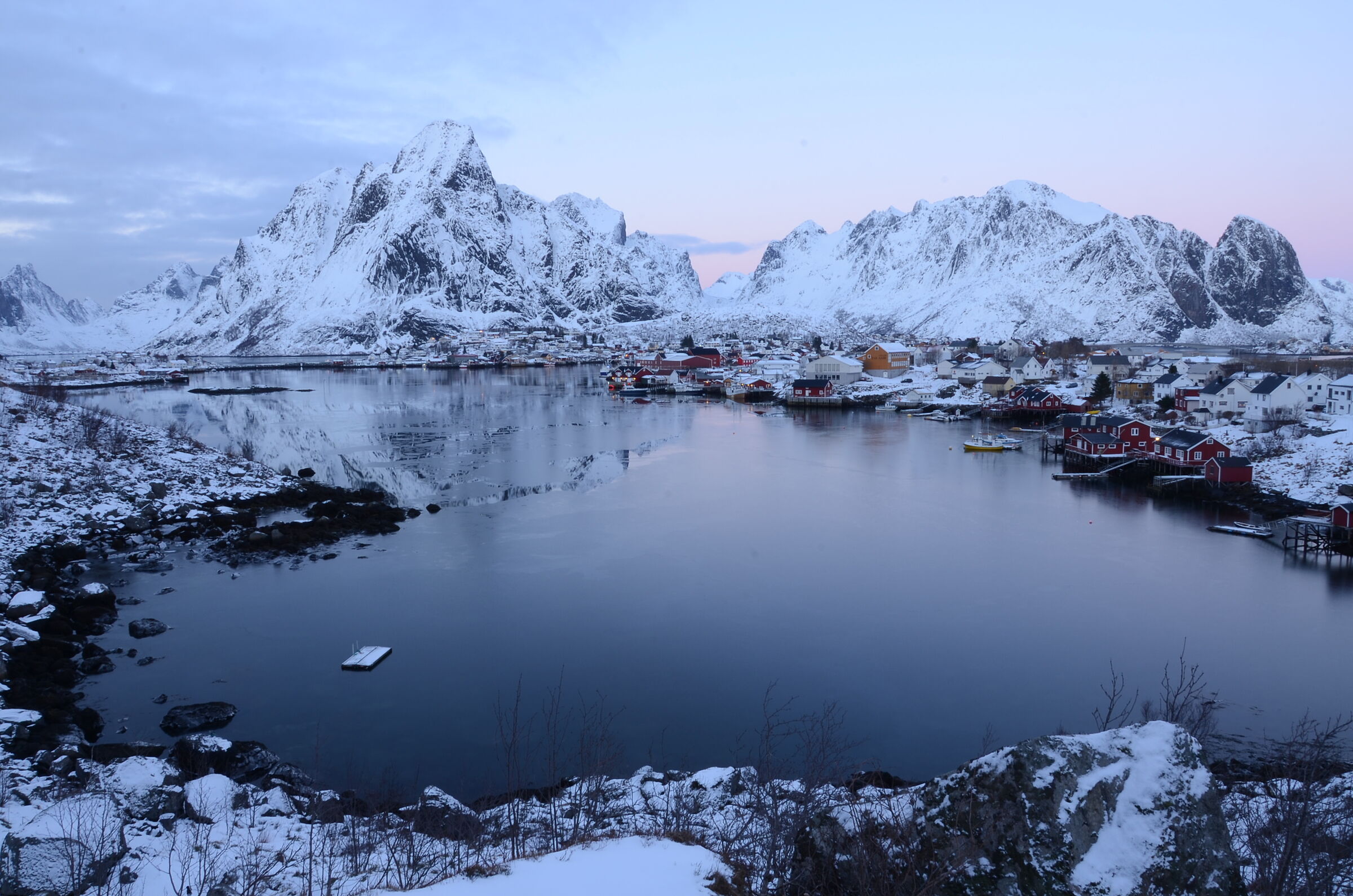 Reine