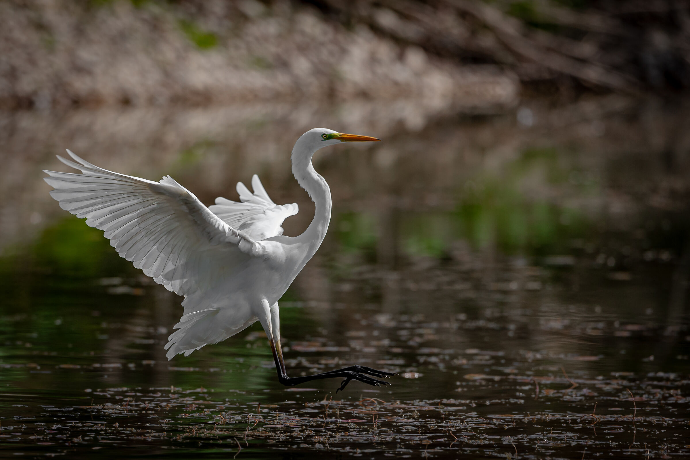 L'atterraggio perfetto