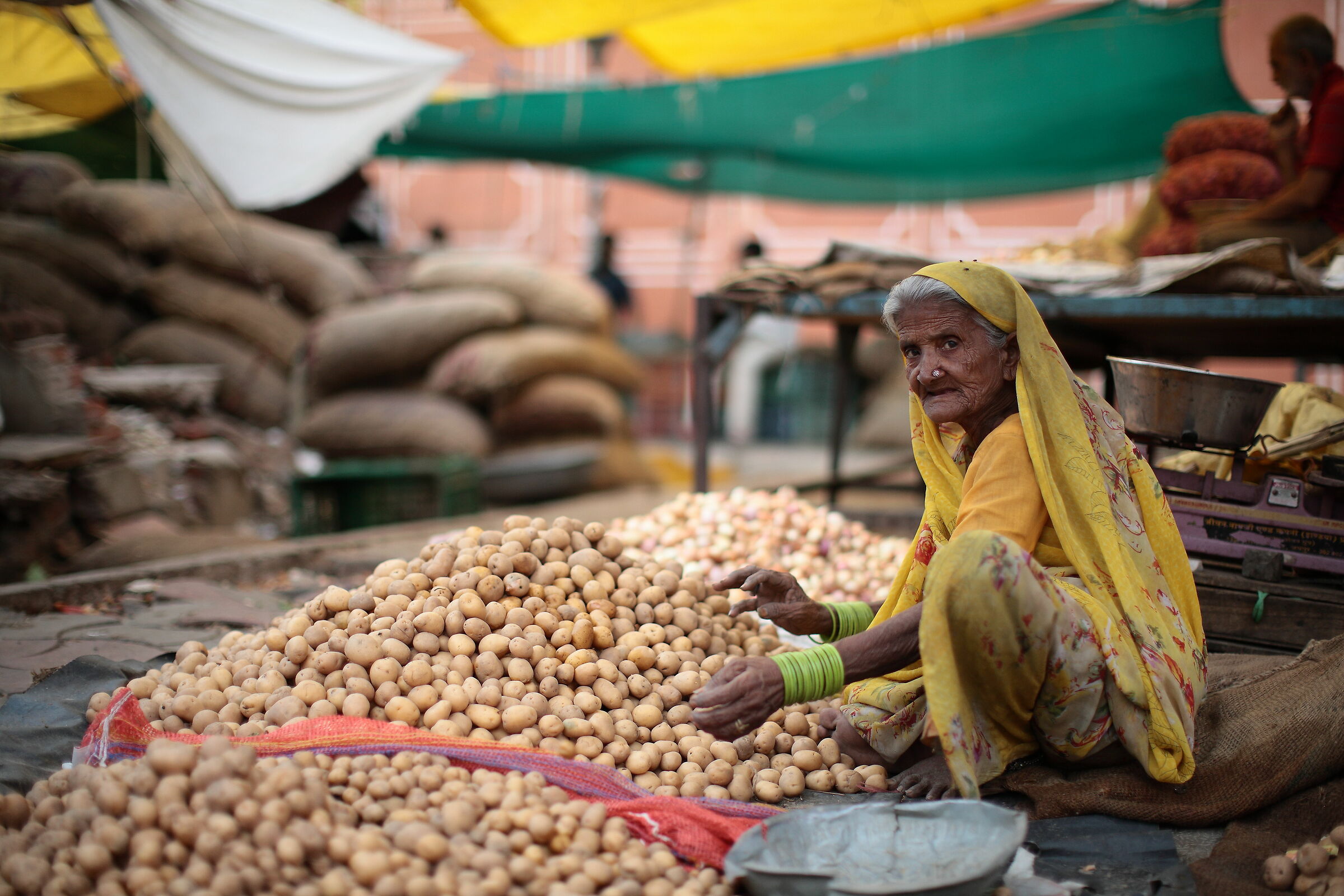 At the Jaipur market, colors, traditions, life