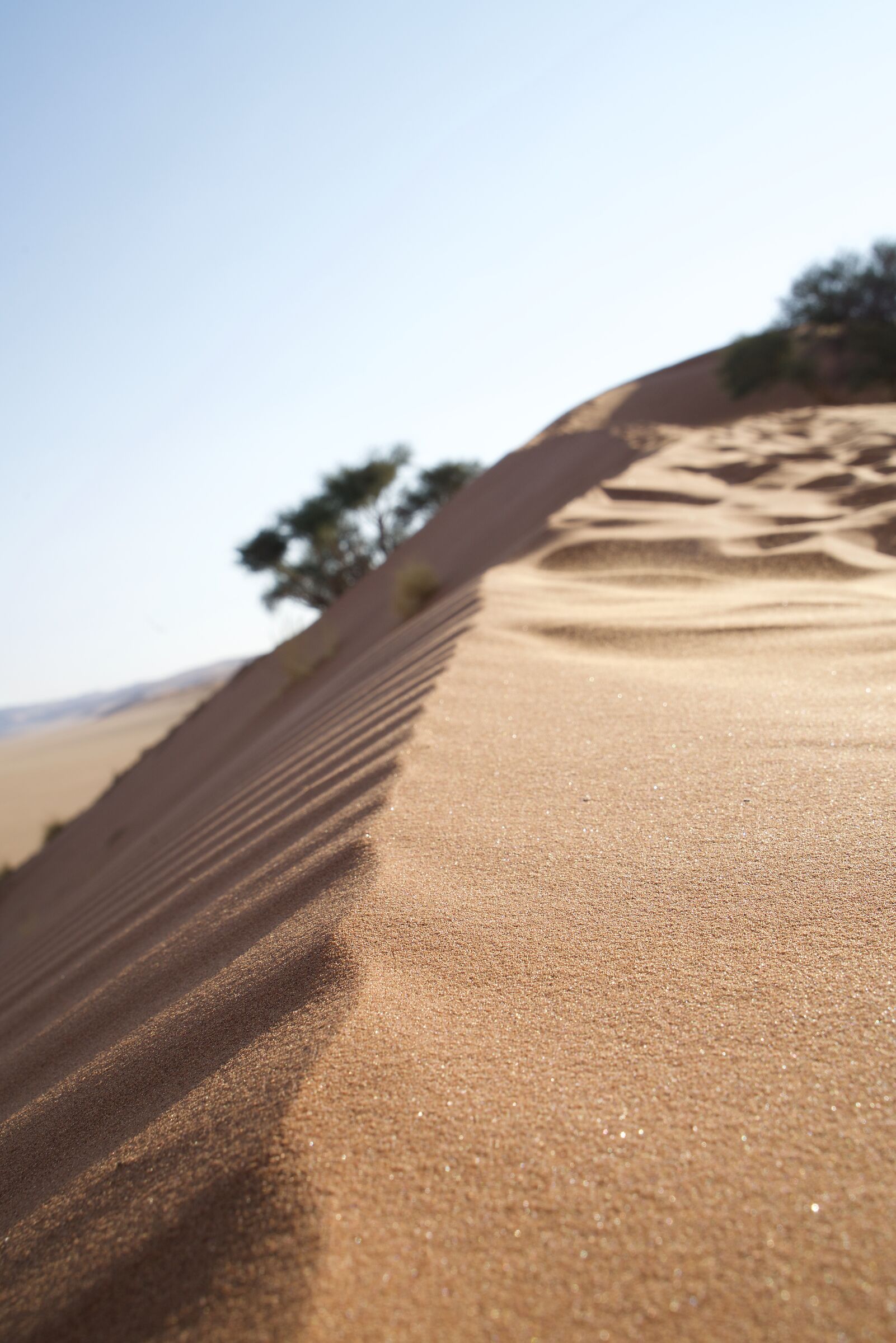 Namib Dunes