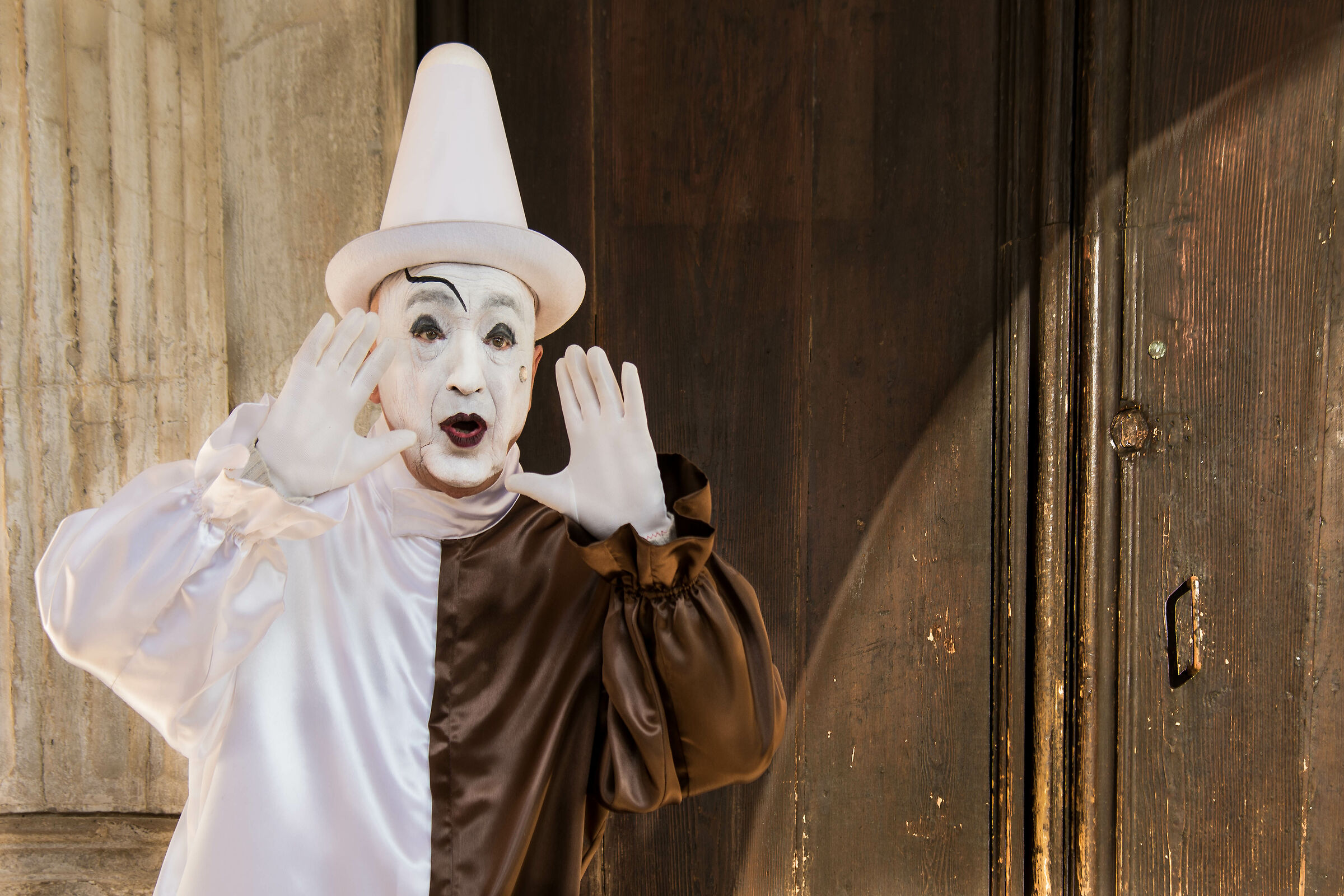 Carnevale di Venezia 2020: Il mimo mimetico