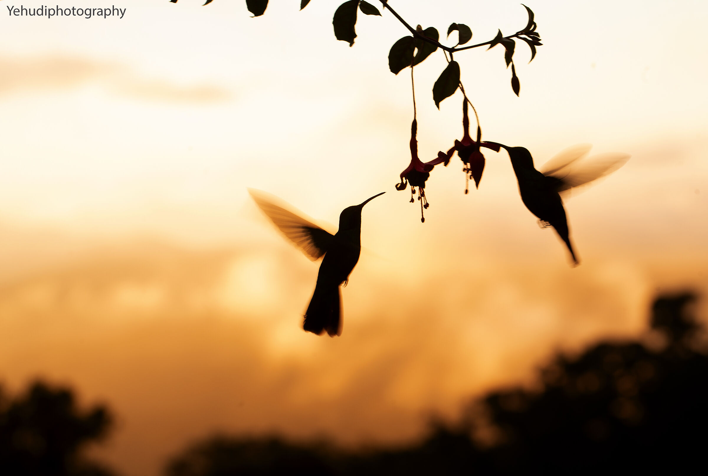 Tramonto negli altopiani