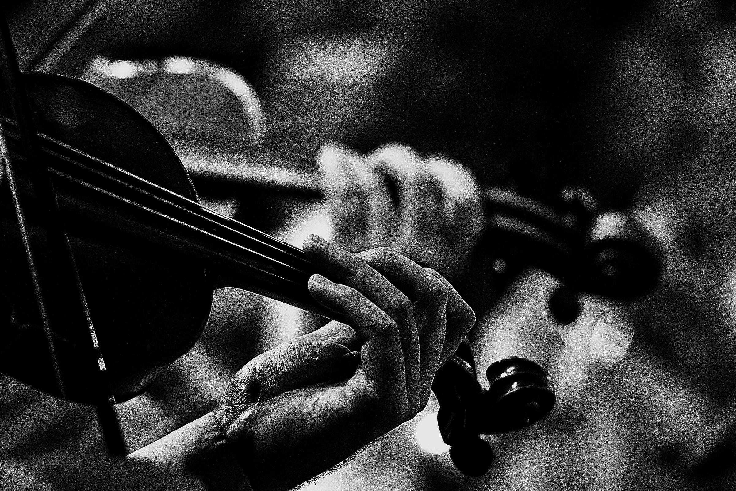 THE SOUND OF THE VIOLIN