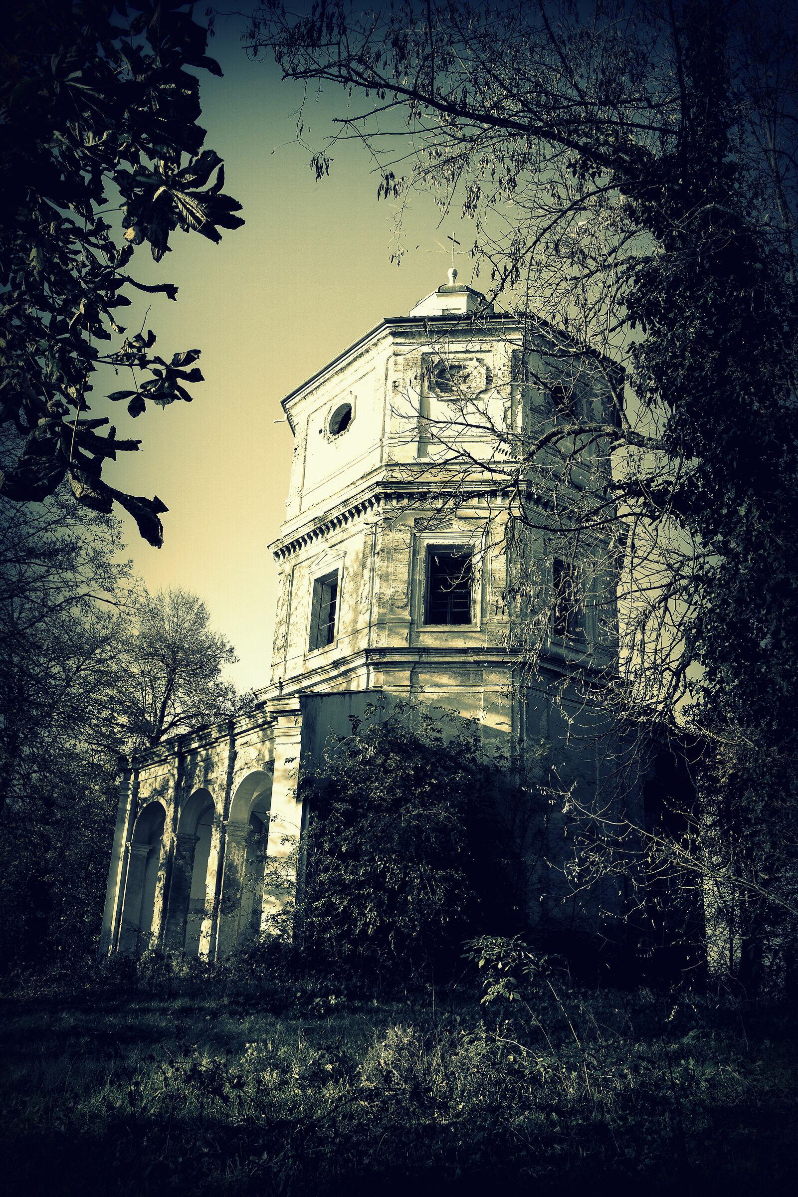 Madonna of the vineyards