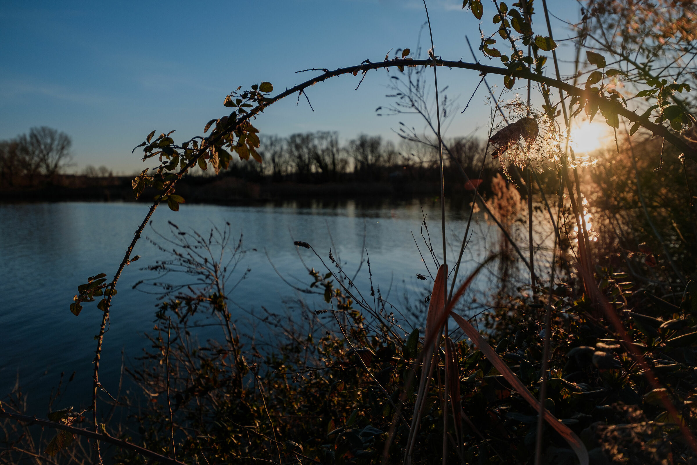 Architetture insolite tra i rami - Torbiere del Sebino