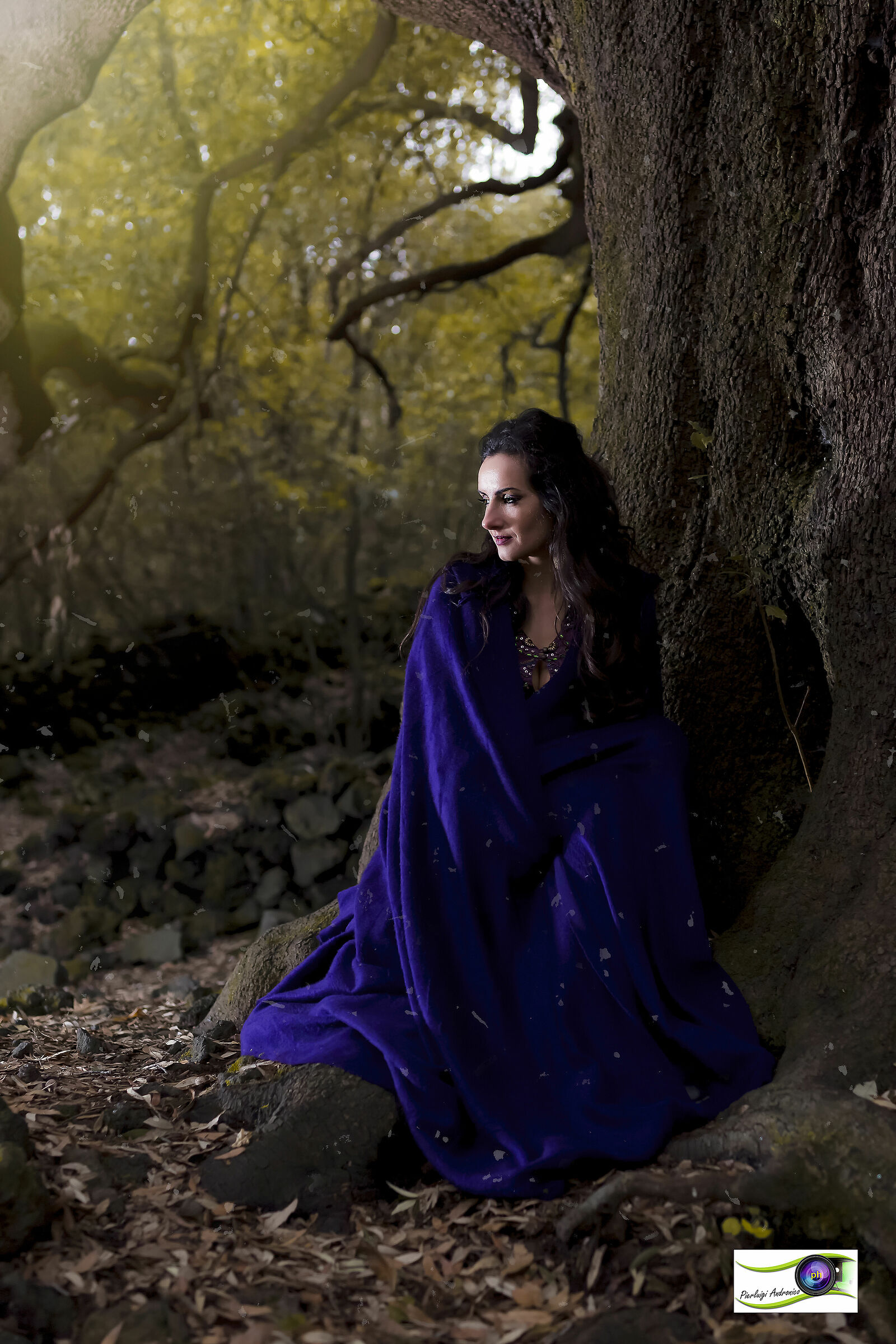 Marillie - All'ombra del ilice di Carrino