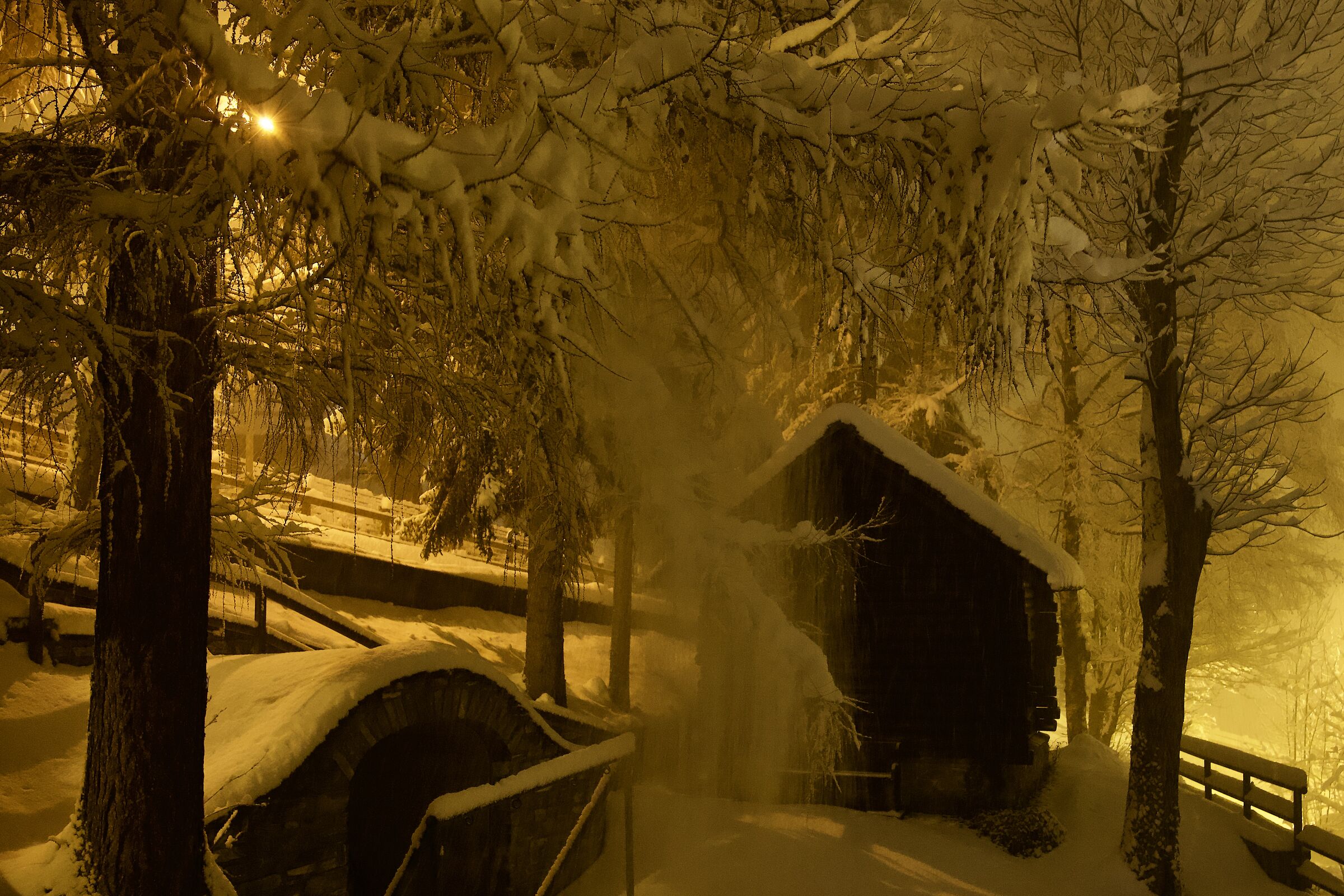 Che colpo di fortuna !