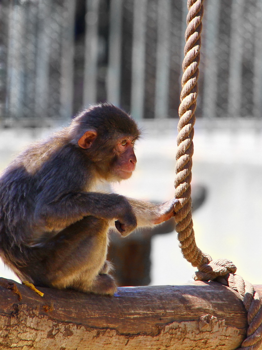 Con i bambini allo Zoo 3