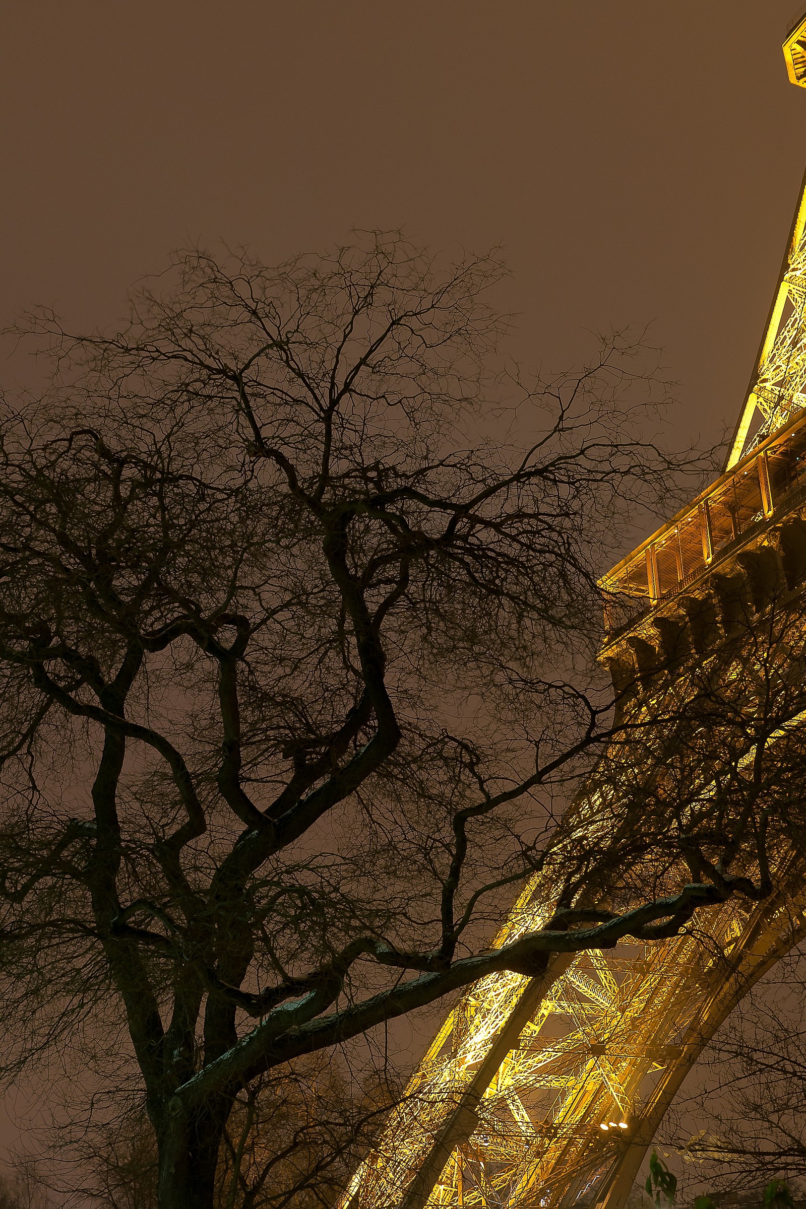 Parigi, taglio notturno