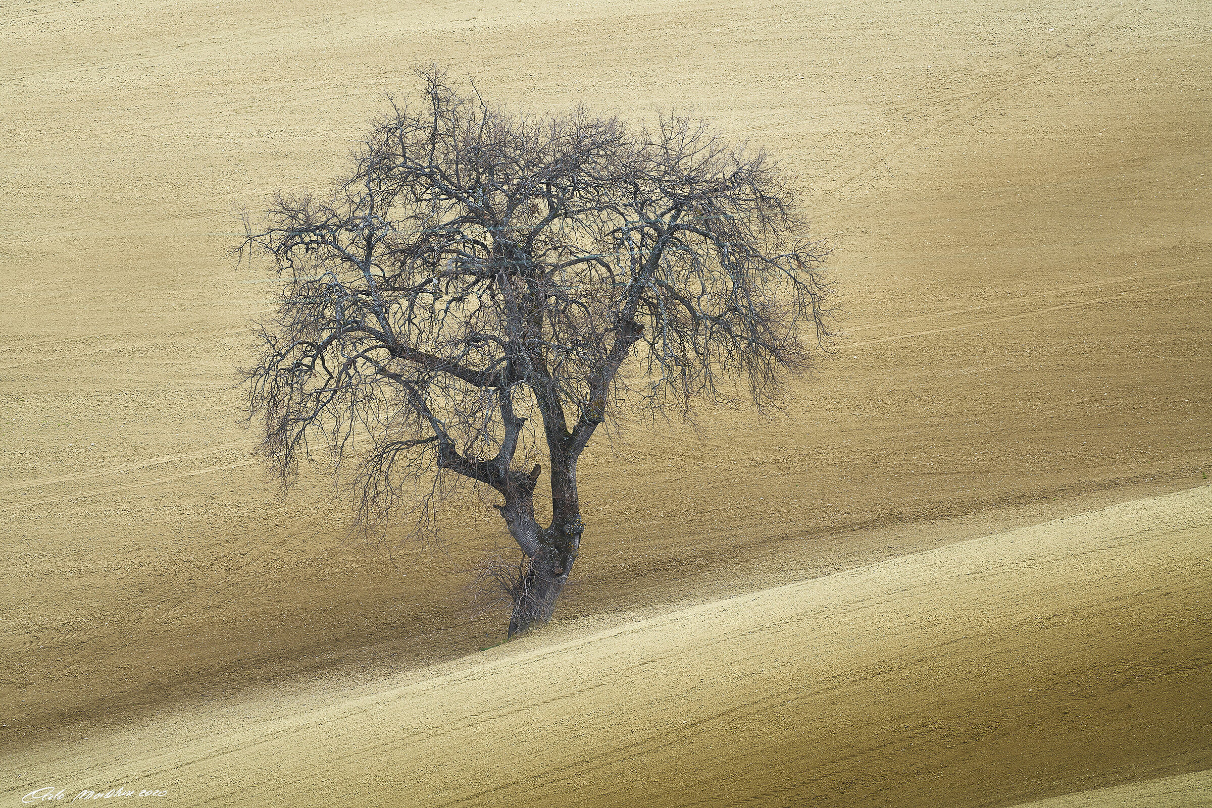 L'autenticità dell'incertezza