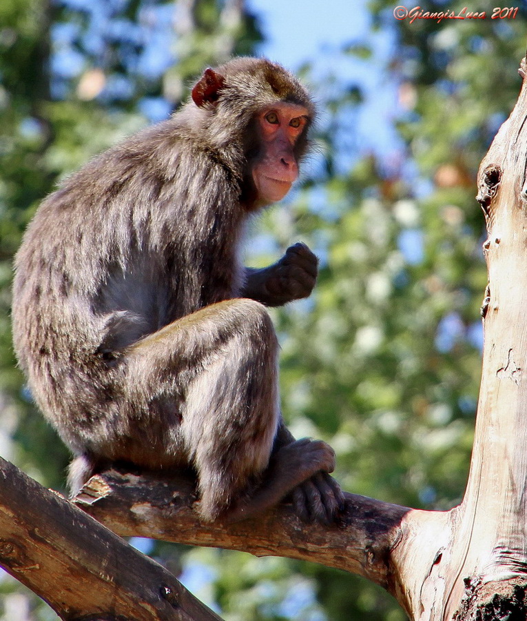 Con i bambini allo Zoo 4