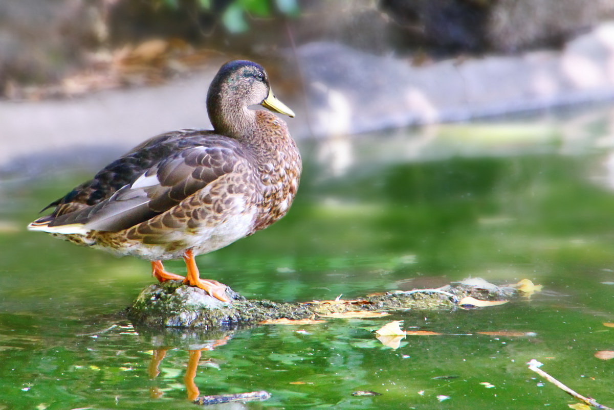 Con i bambini allo Zoo 7