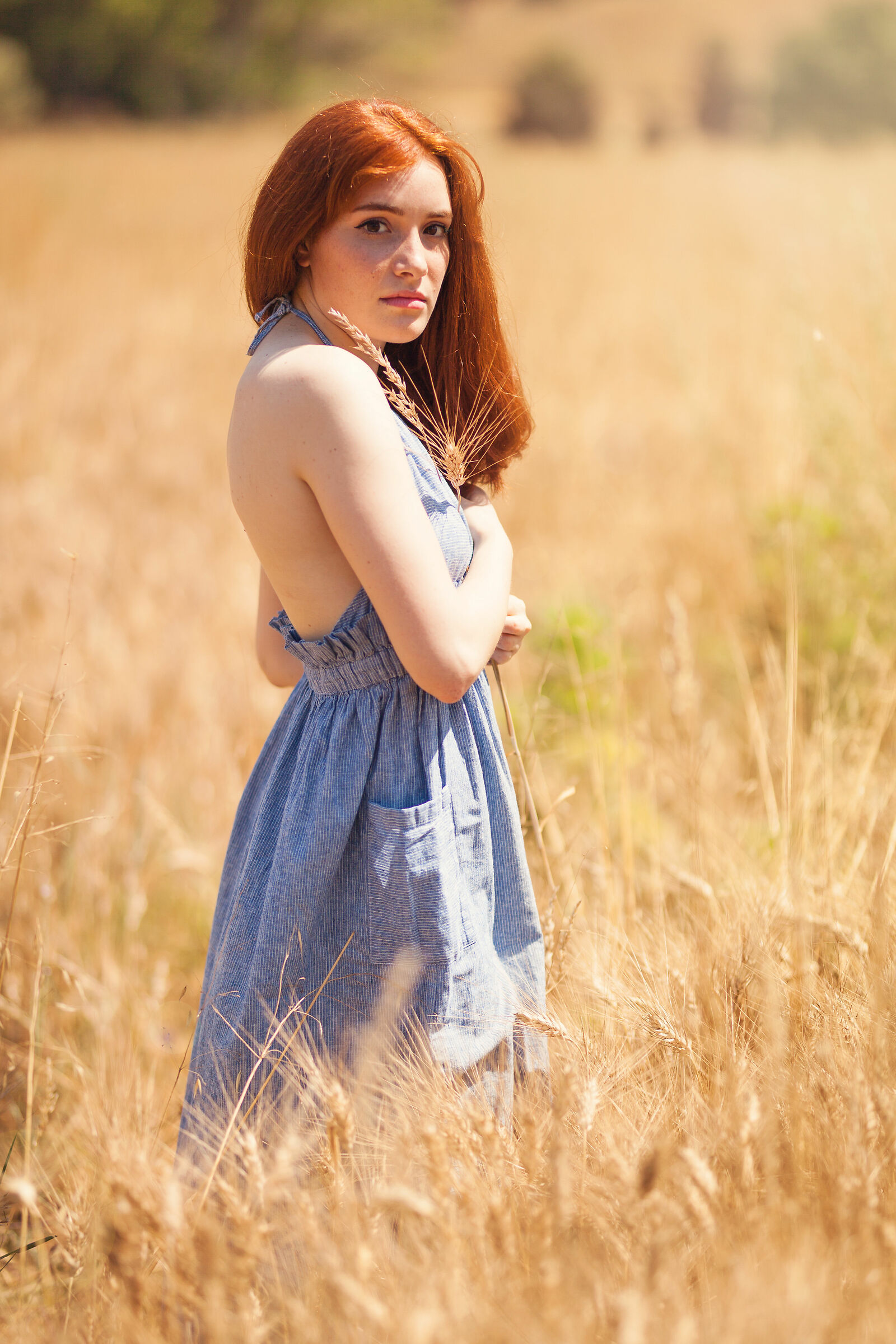 Elena, in a corn field