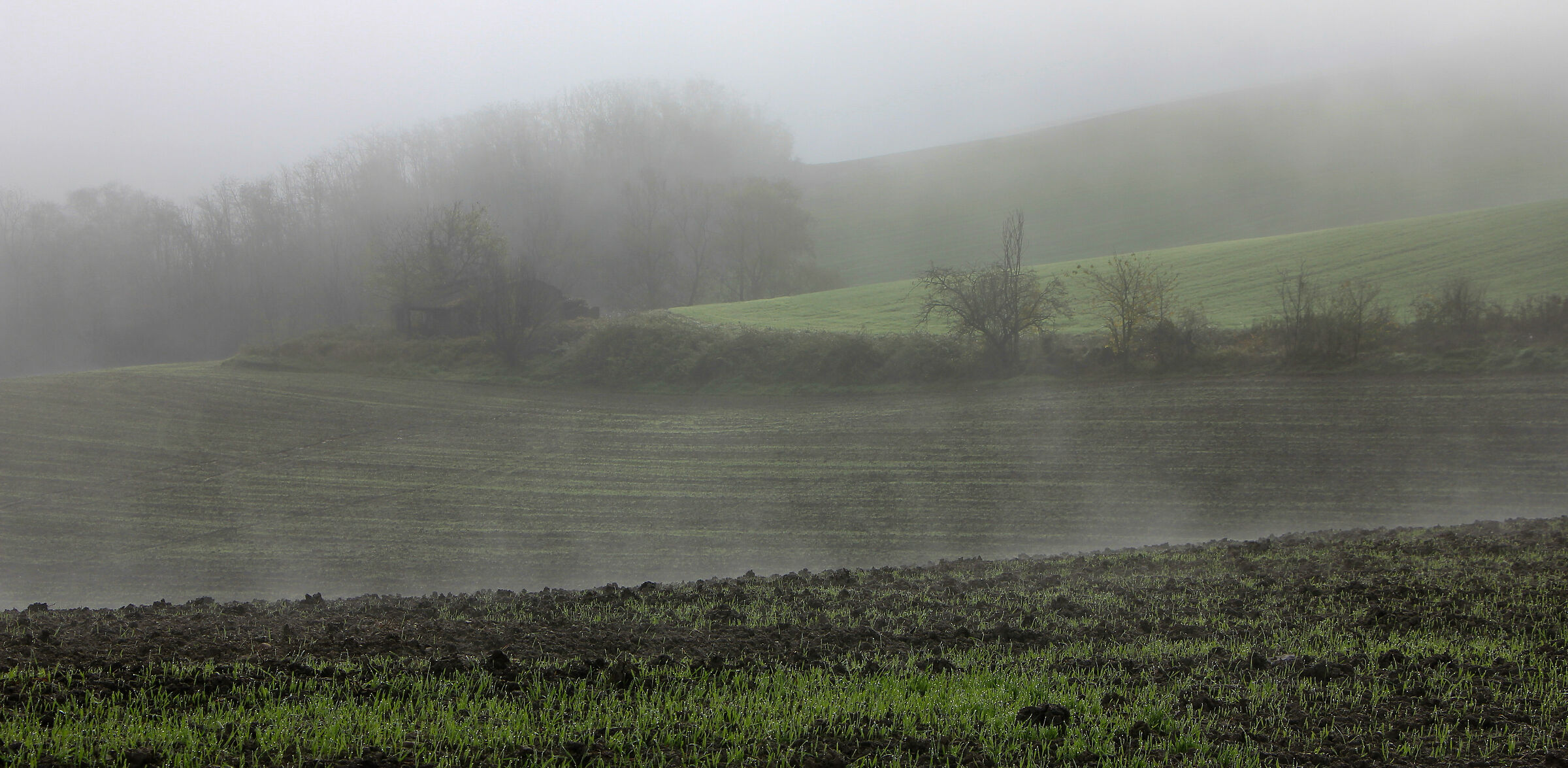 the persistence of fog