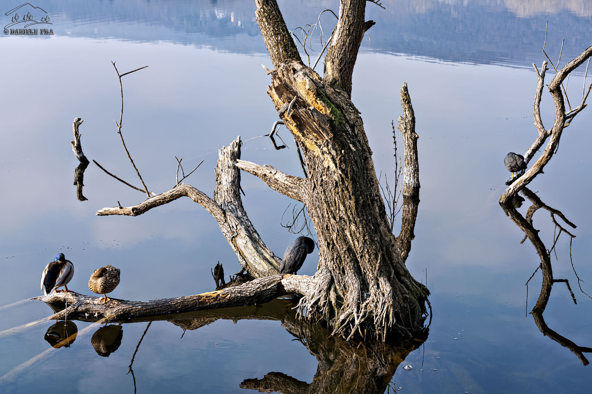 Lago Grande di Avigliana