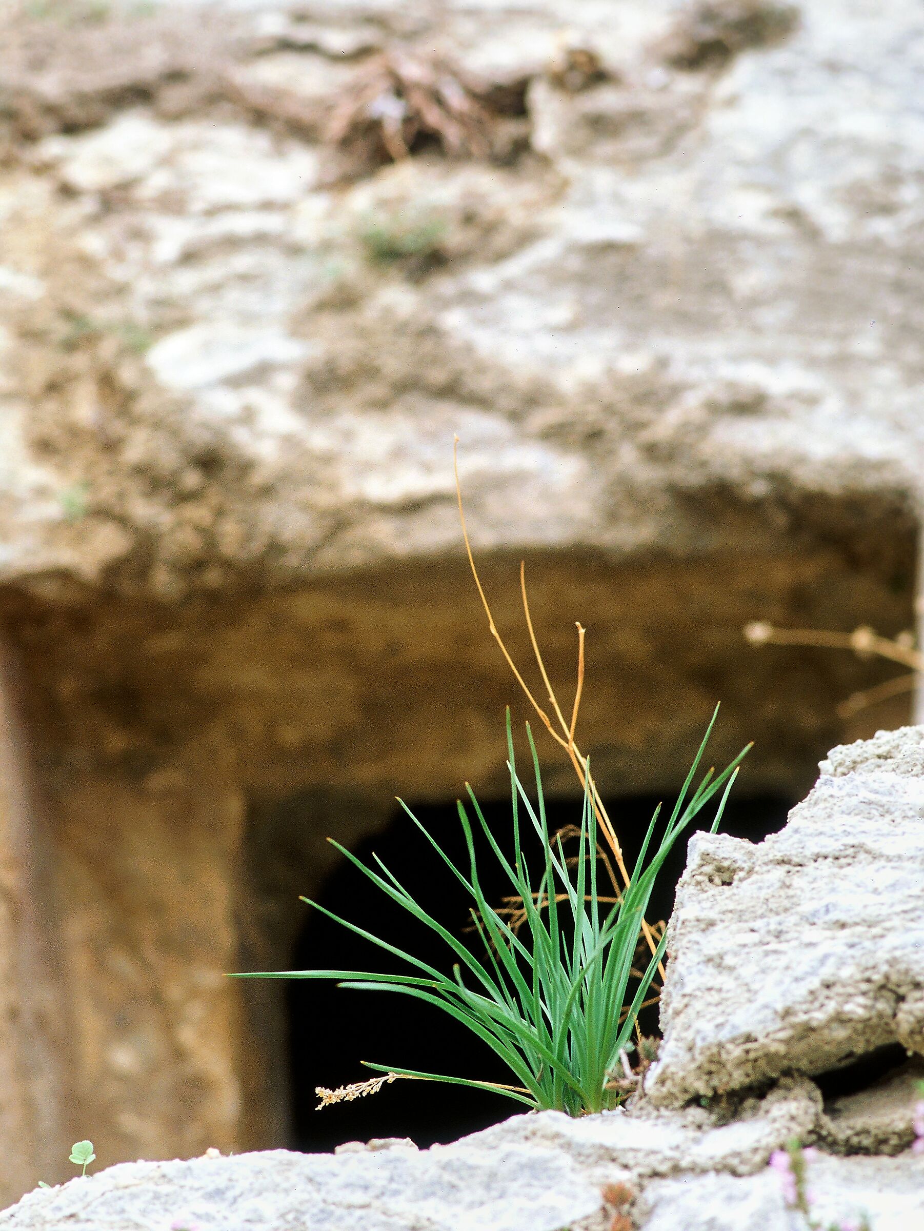 Sican Valley: Prince's tomb