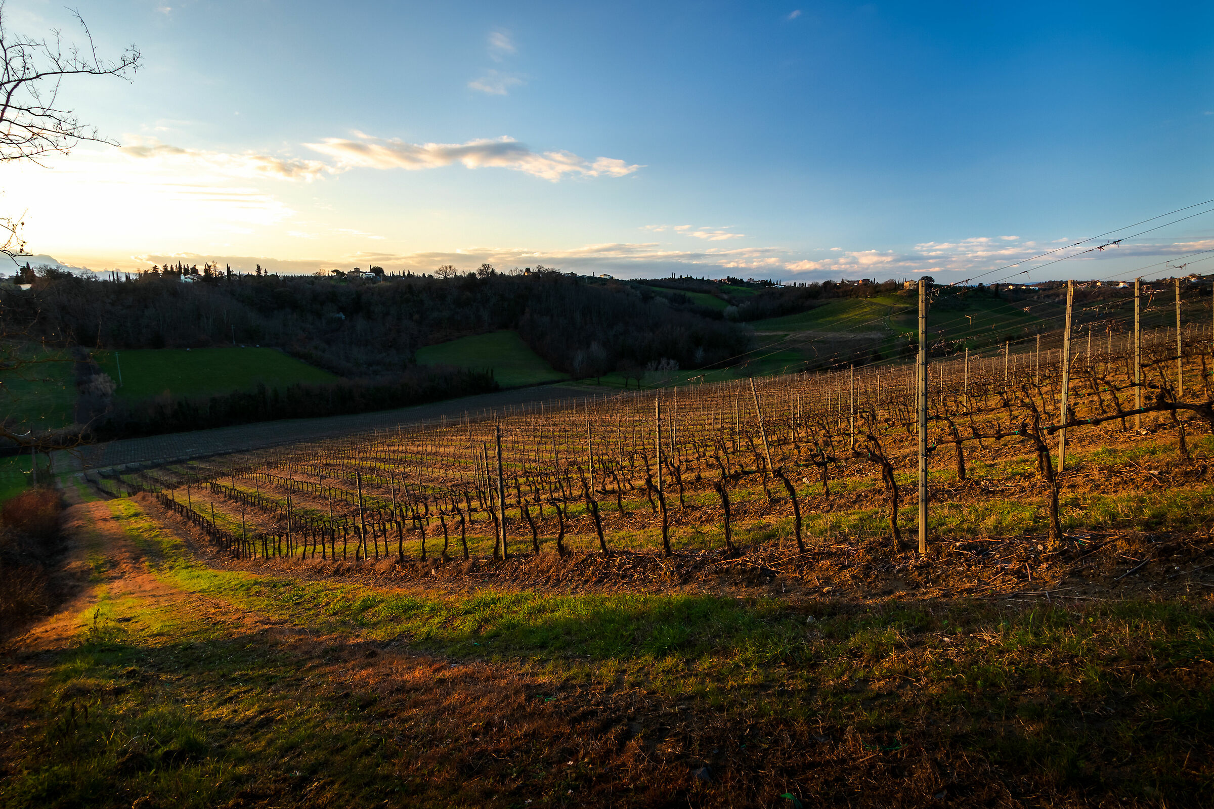 Tramonto in collina