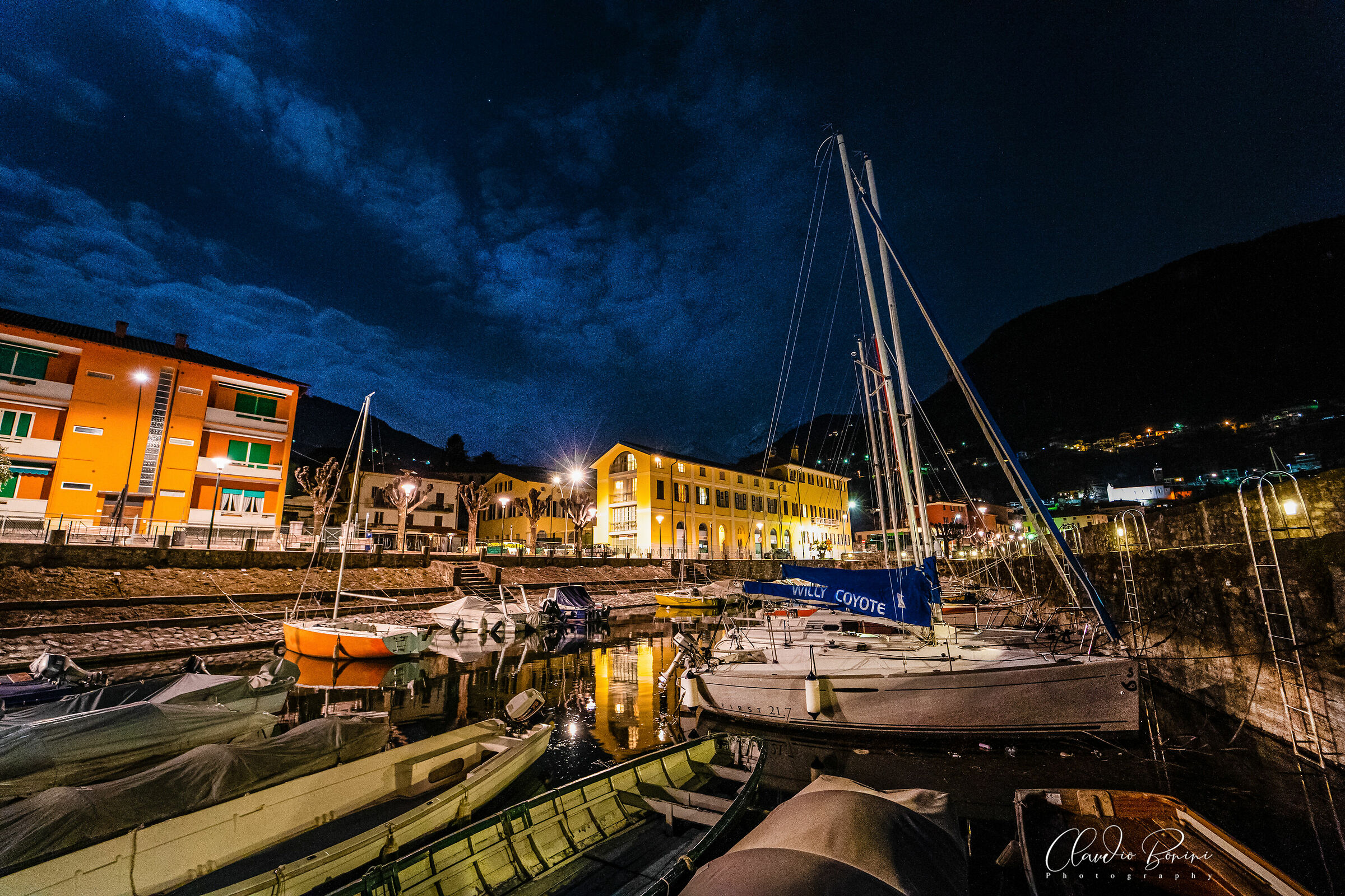 Willy Coyote, New York