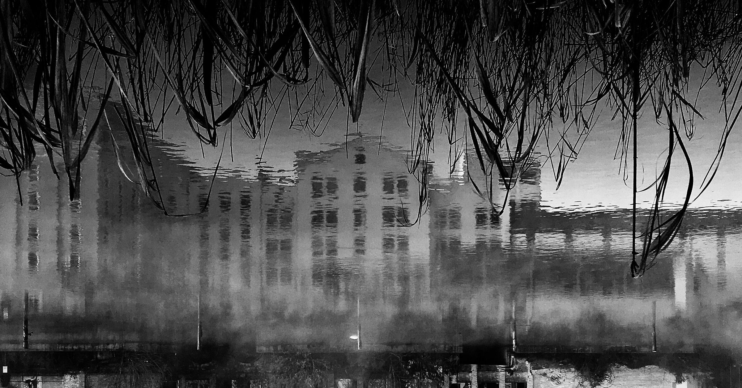 Riflessi abbandonati