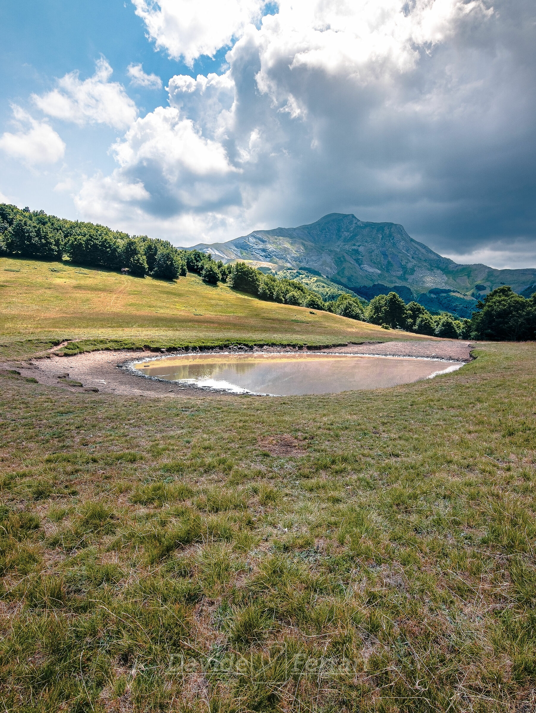 Cusna from Sara Meadows