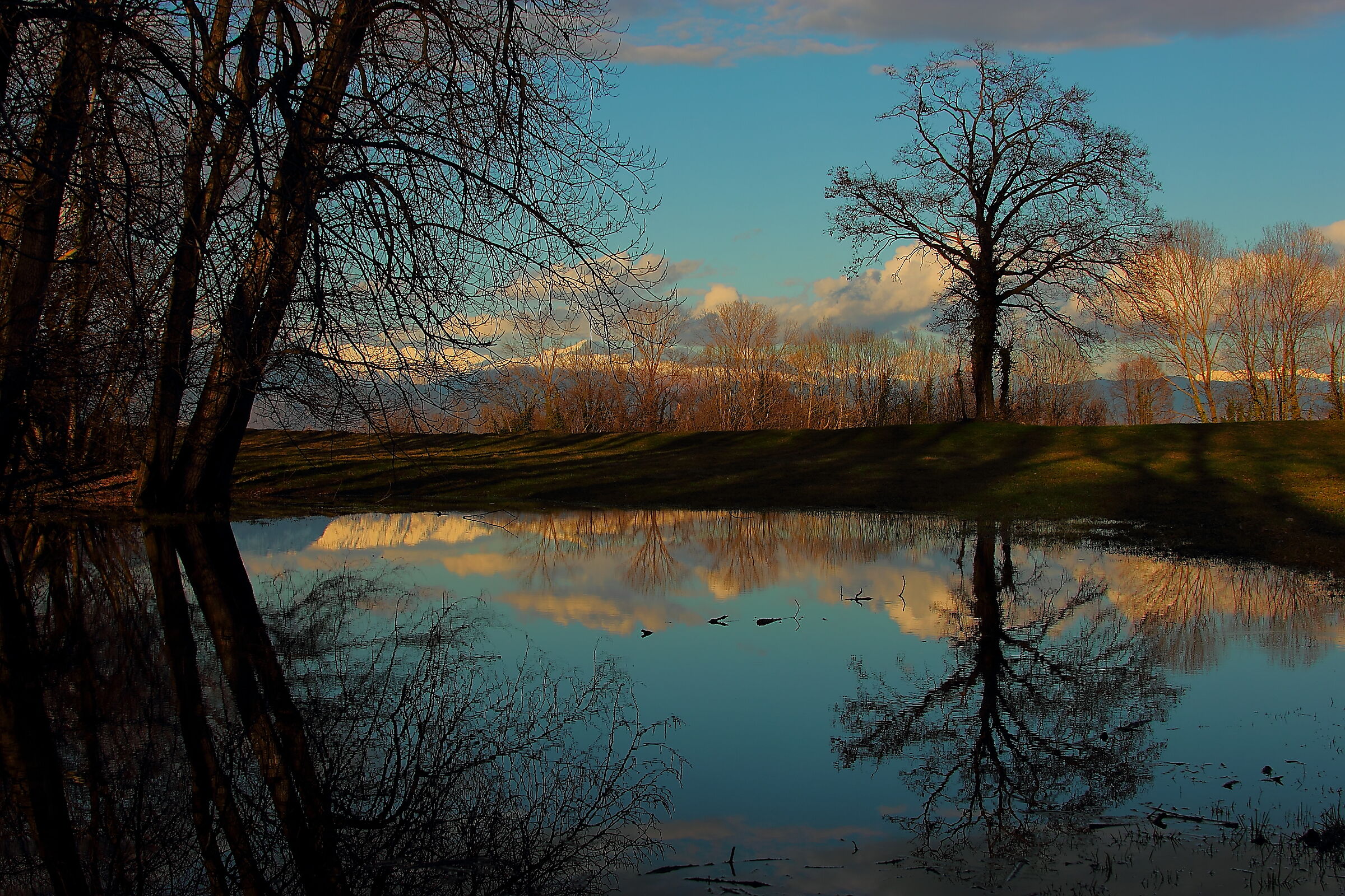 Pond
