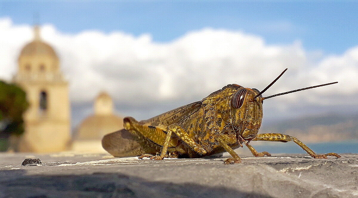 Gli mancava la parola!