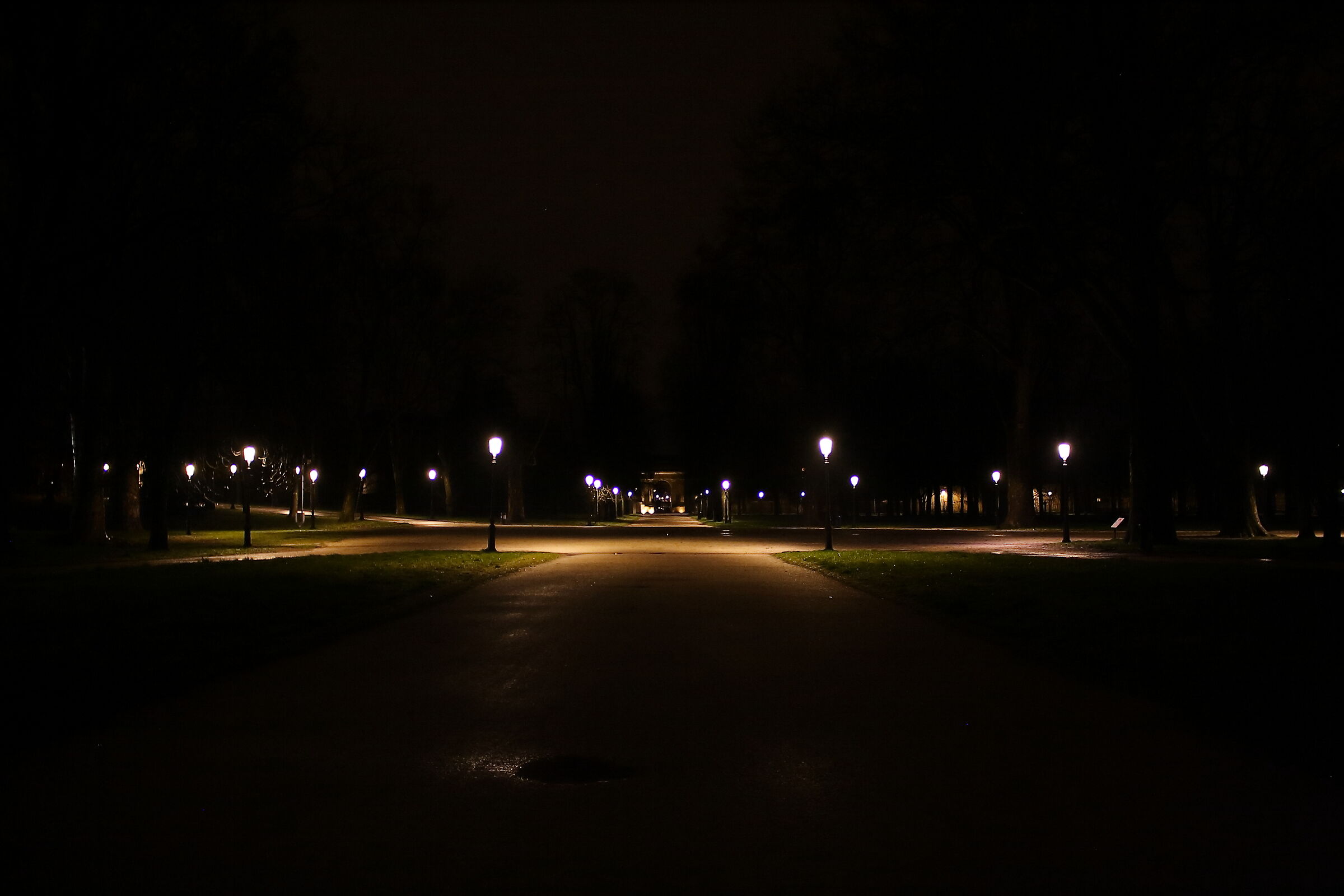 night rehearsals - ducal garden parma at 4 :-)