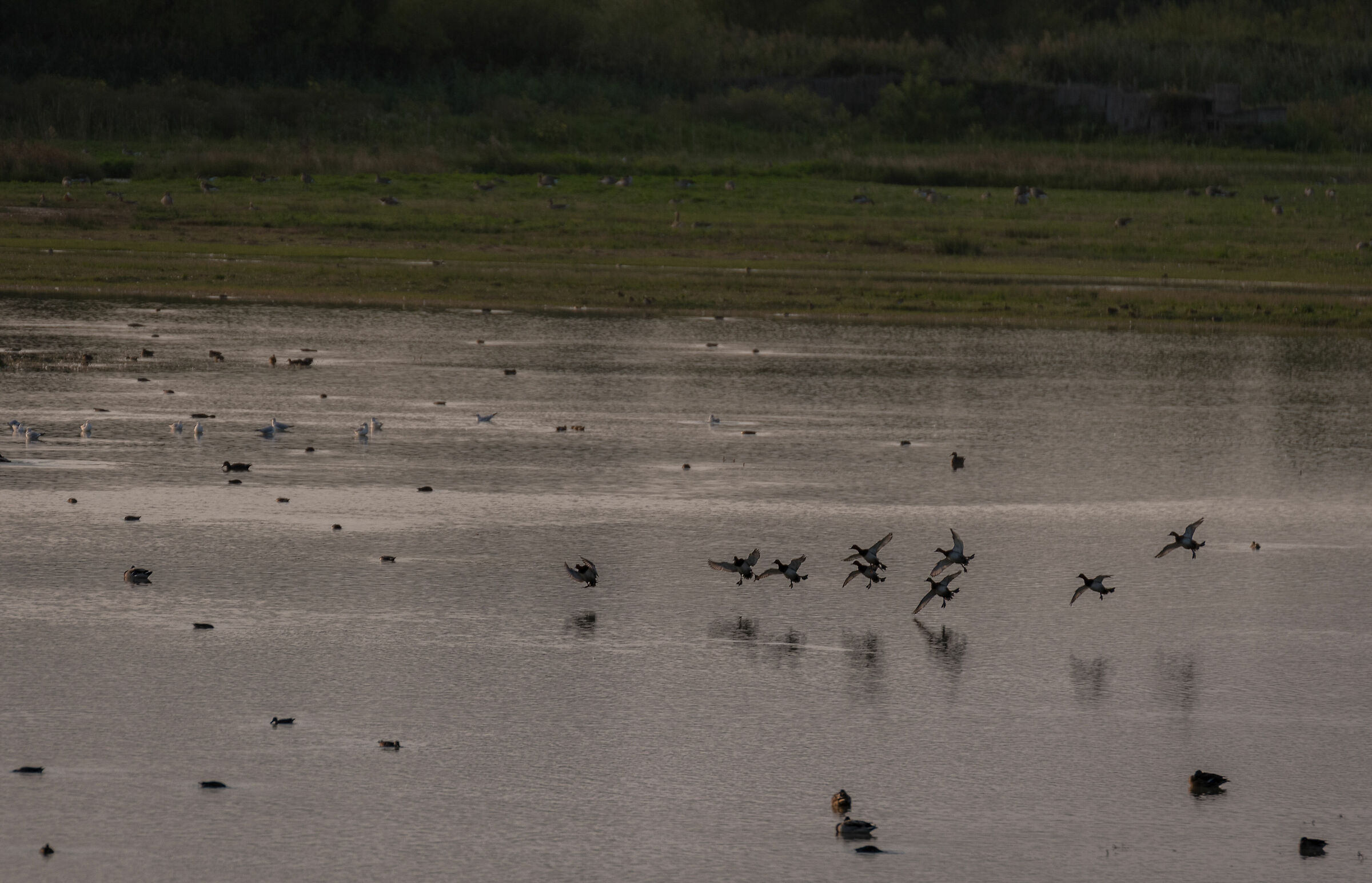 Atterraggio della squadriglia